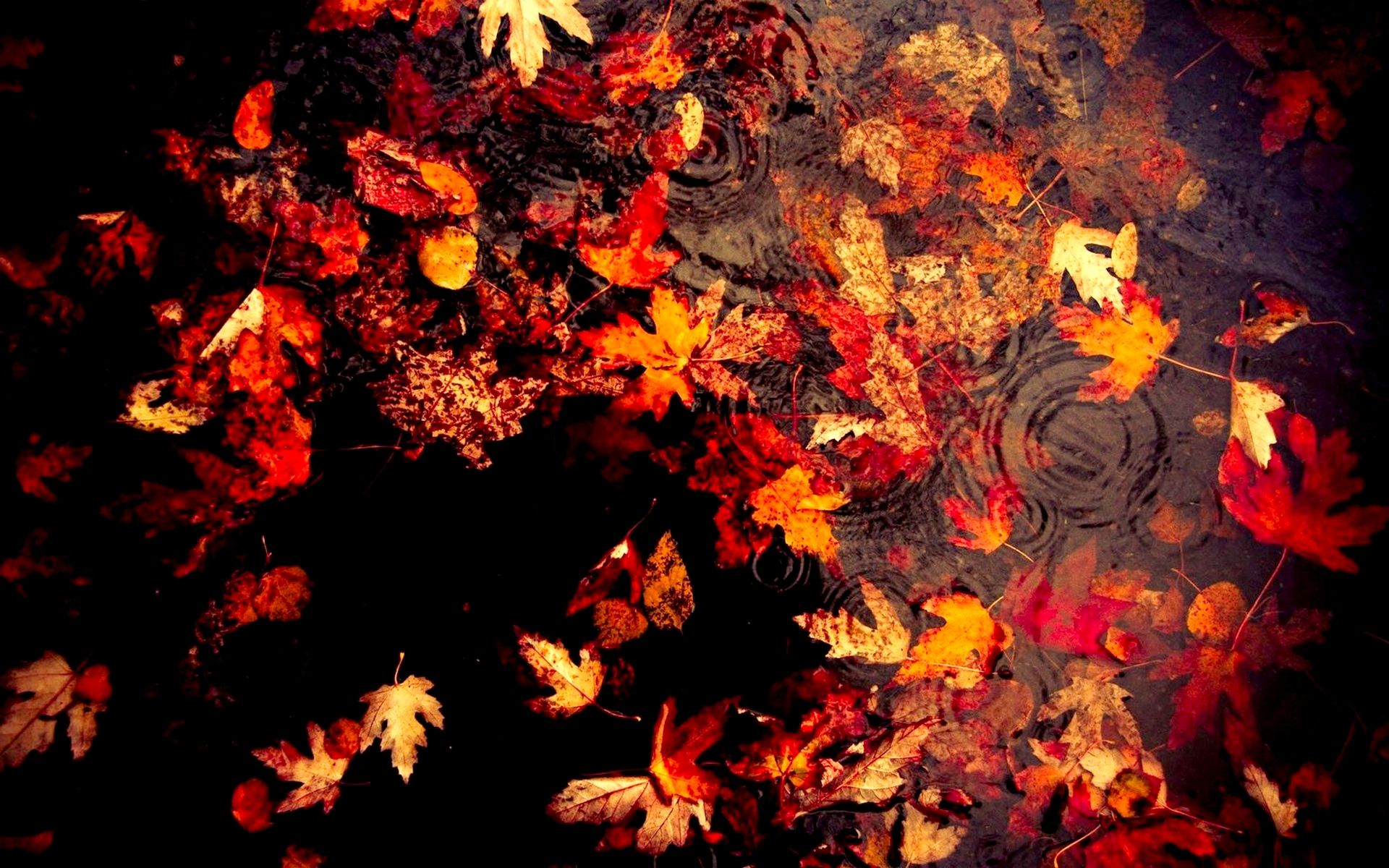 Dark Vintage Autumn Wallpapers