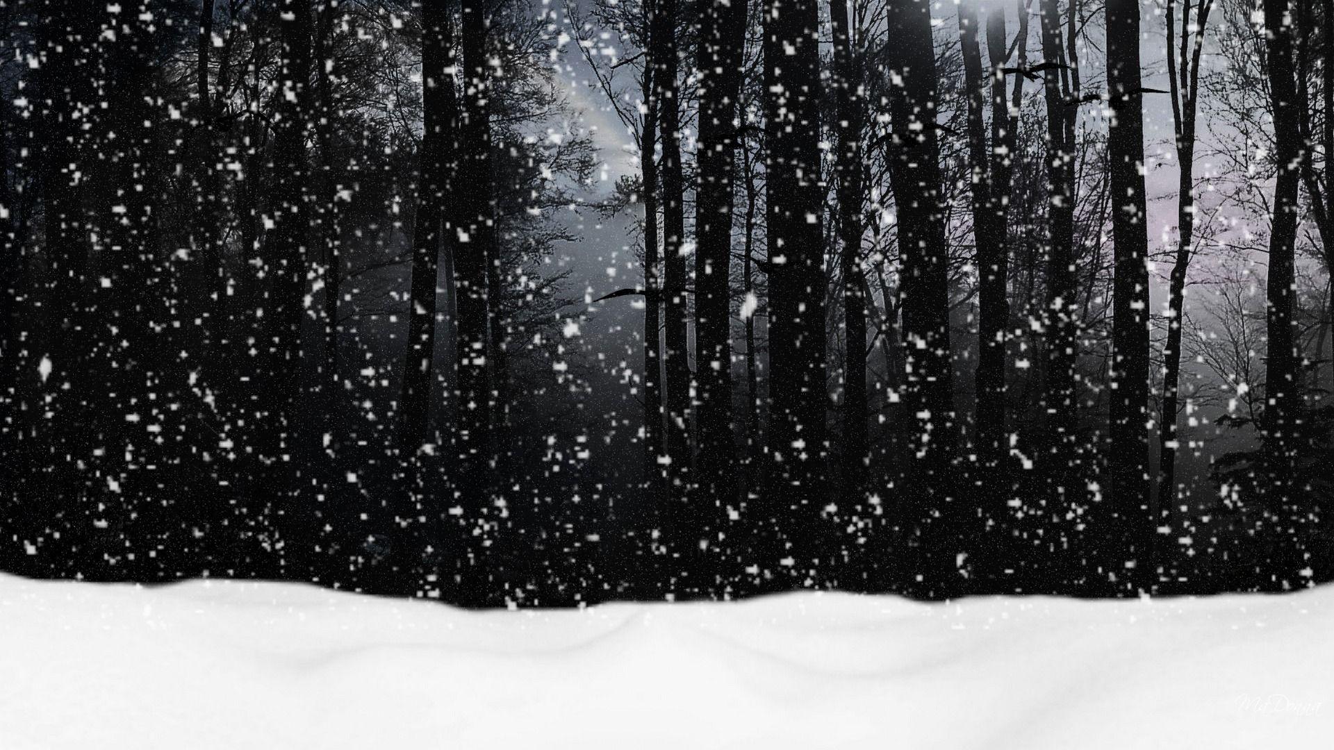 Dark With Snow Wallpapers