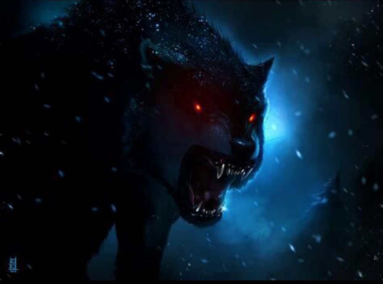 Dark Wolf Wallpapers