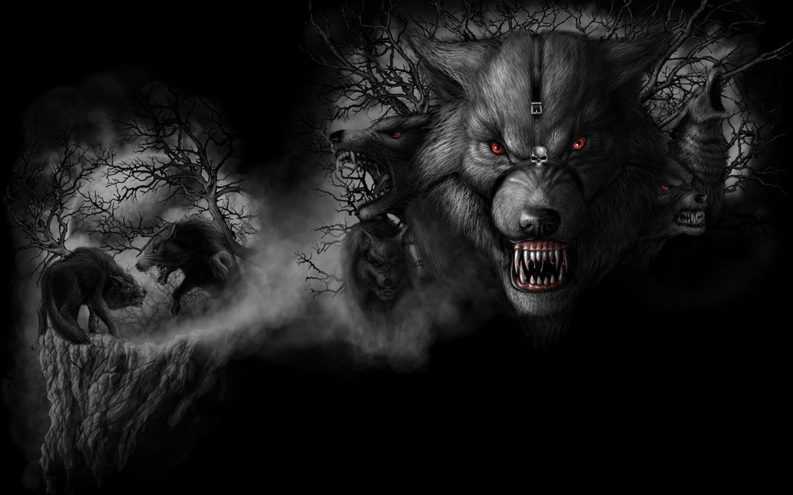 Dark Wolf Wallpapers