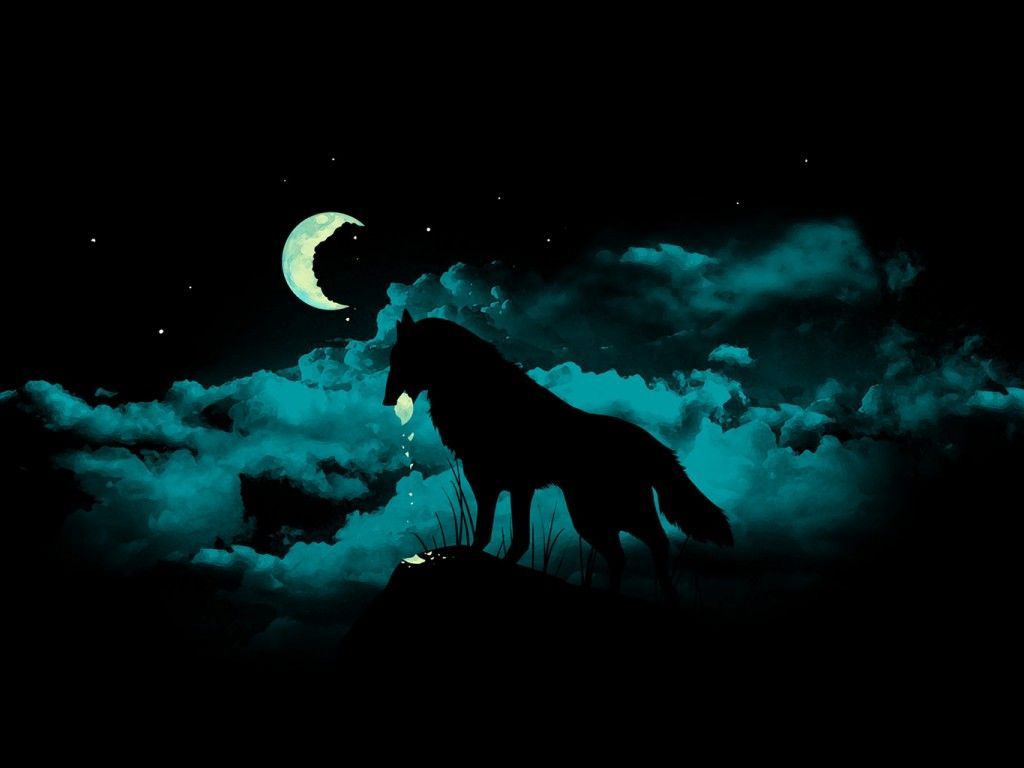 Dark Wolf Wallpapers