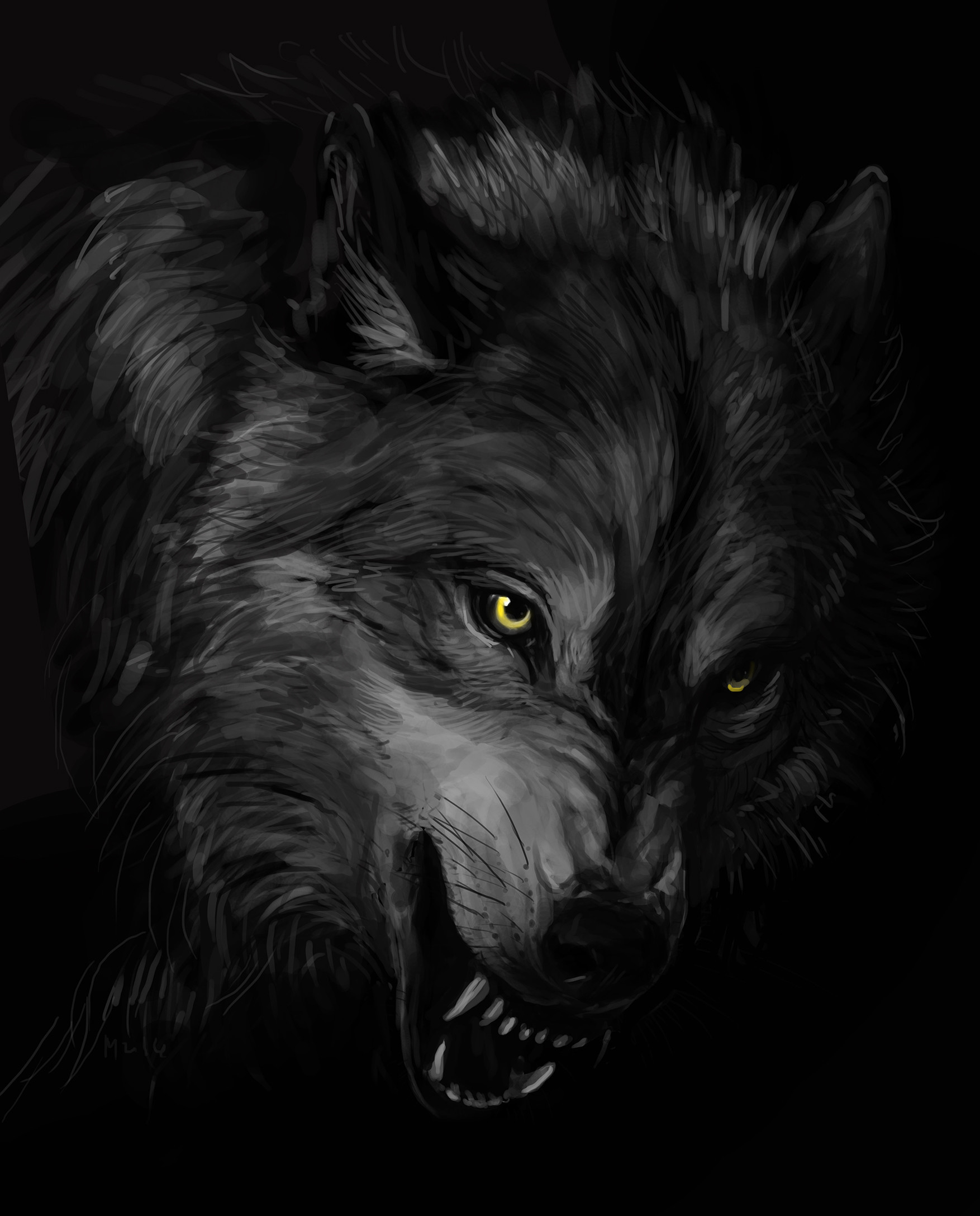Dark Wolf Wallpapers