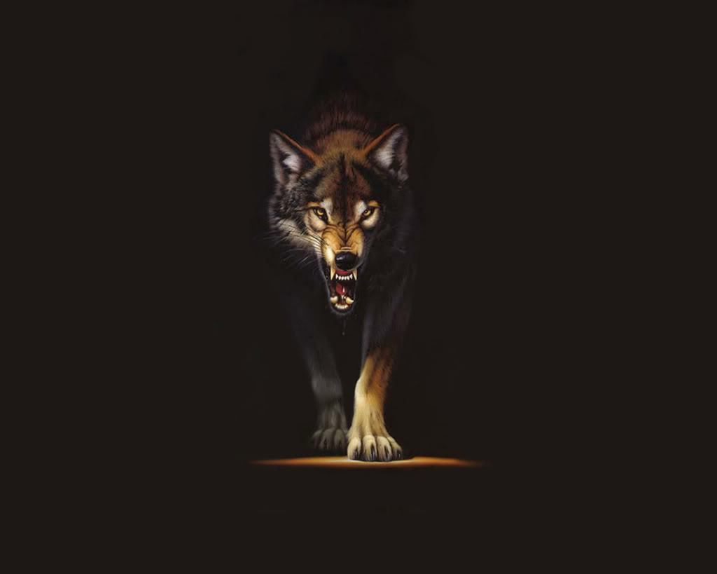 Dark Wolf Wallpapers