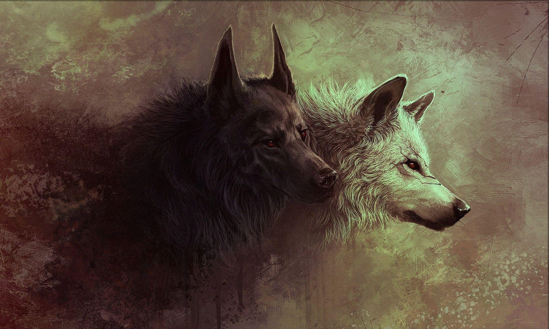 Dark Wolf Wallpapers