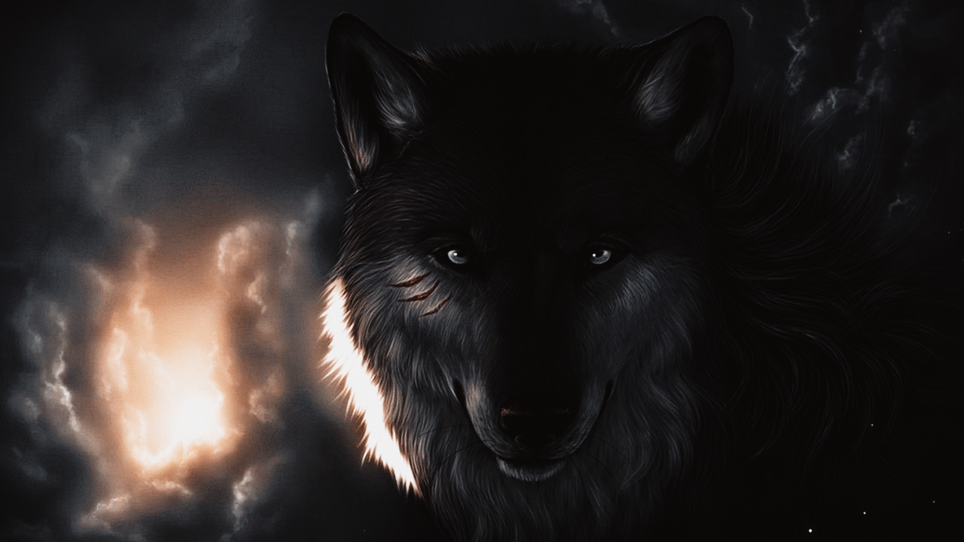 Dark Wolf Wallpapers