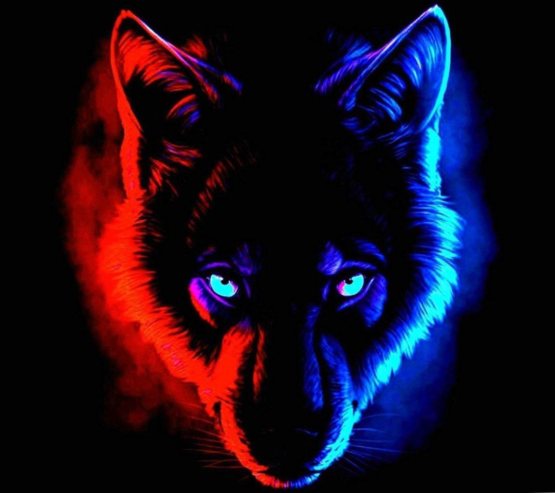 Dark Wolf Wallpapers