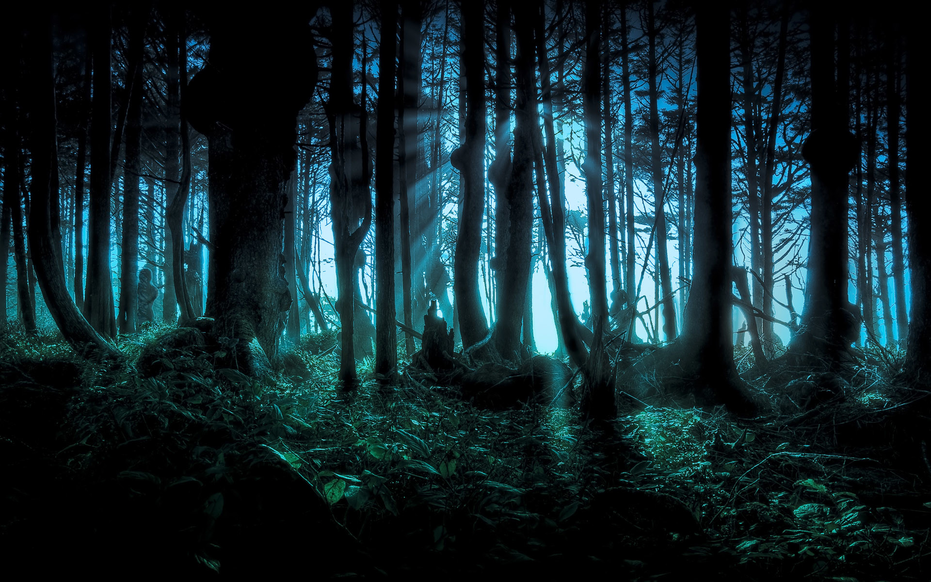 Dark Woods Wallpapers