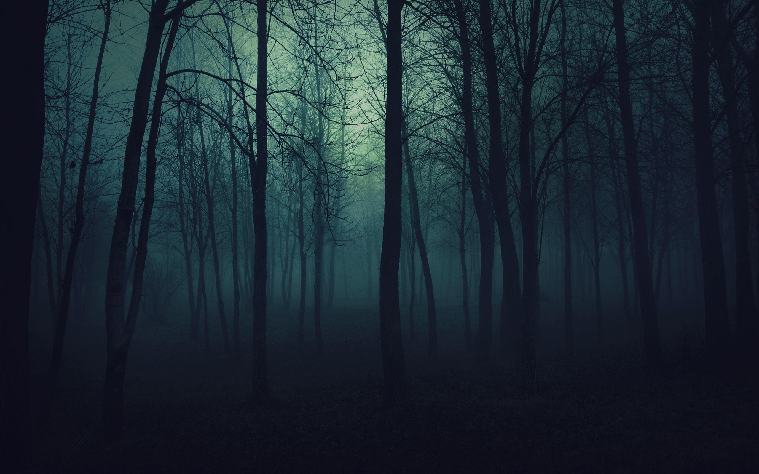 Dark Woods Wallpapers