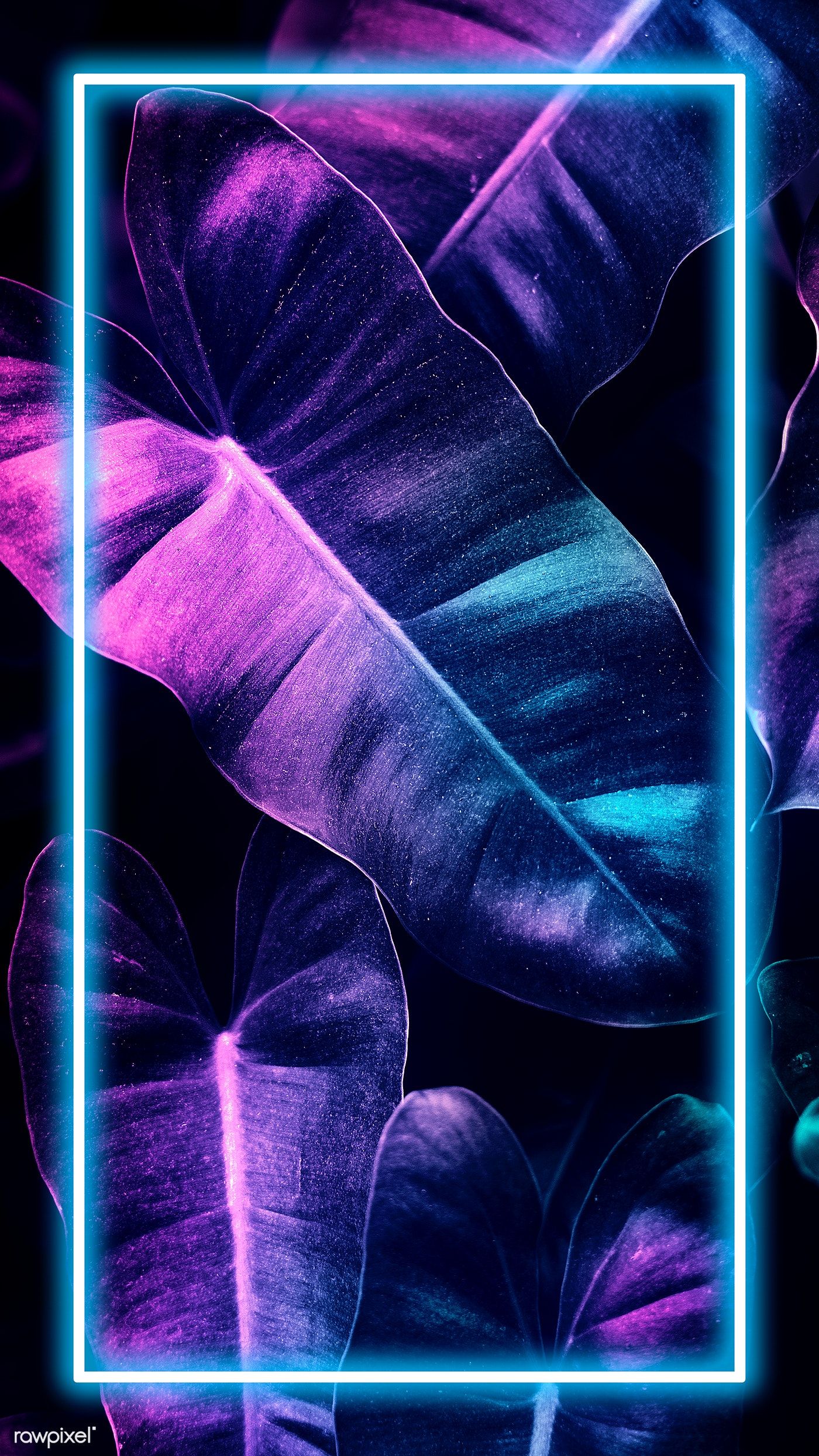 Neon 4K Phone Wallpapers