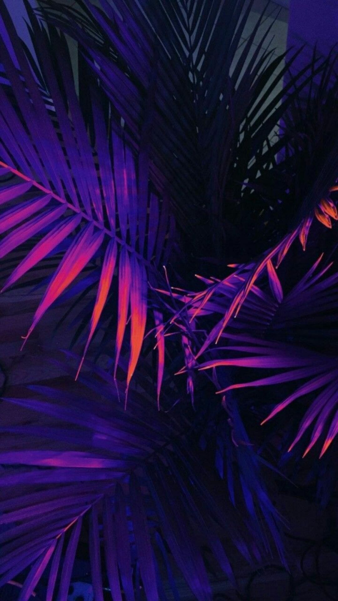 Neon Aesthetic Wallpapers