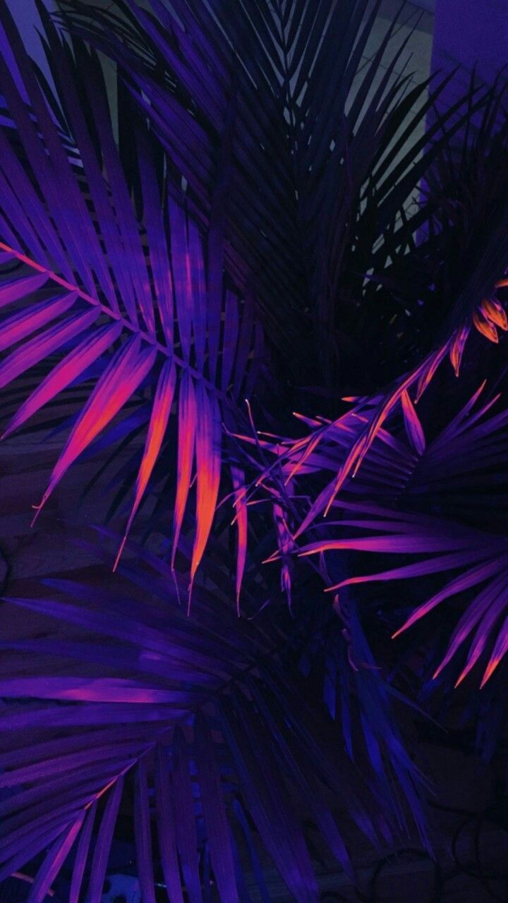 Neon Aesthetic Phone Wallpapers