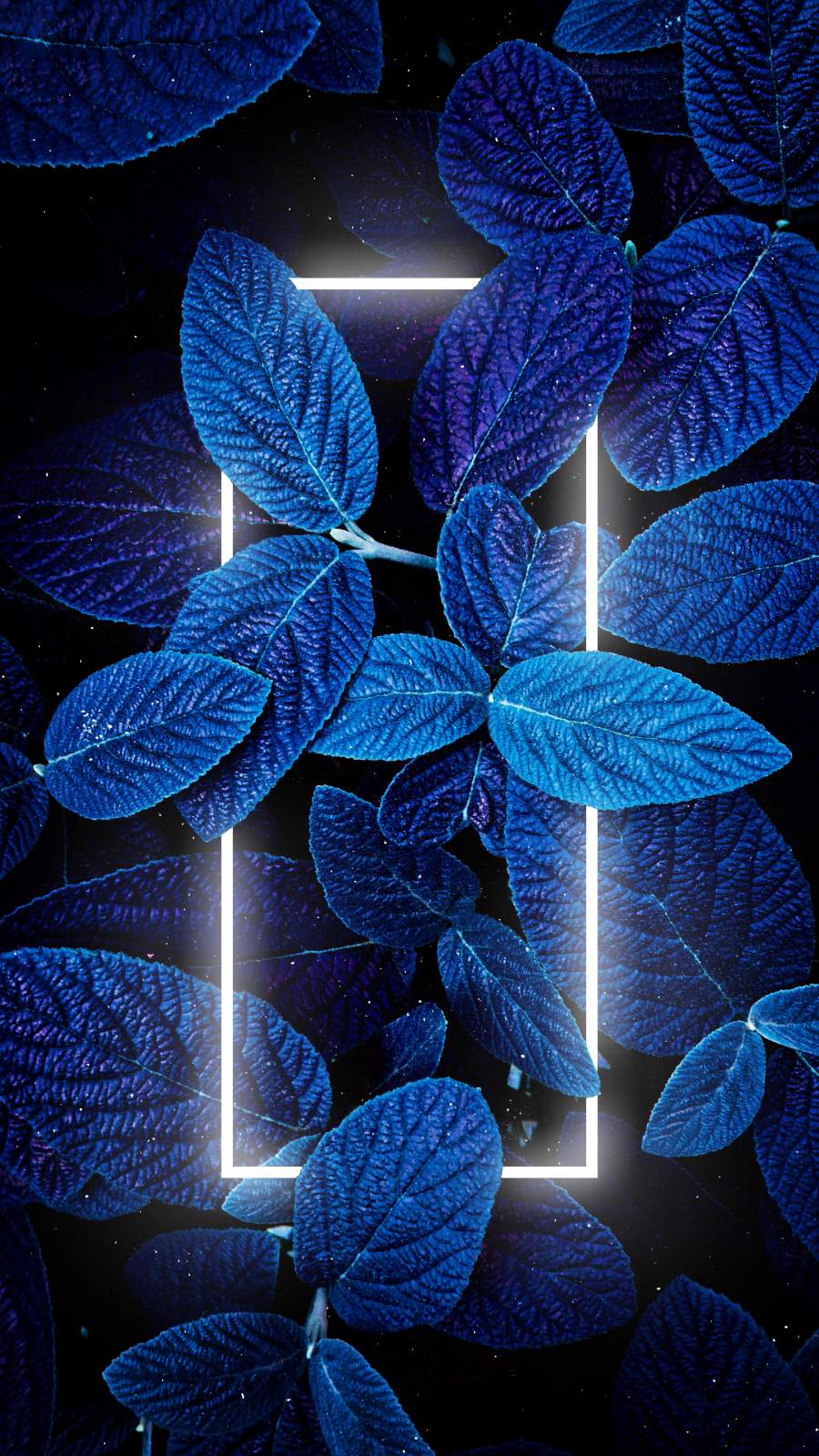 Neon Blue Wallpapers