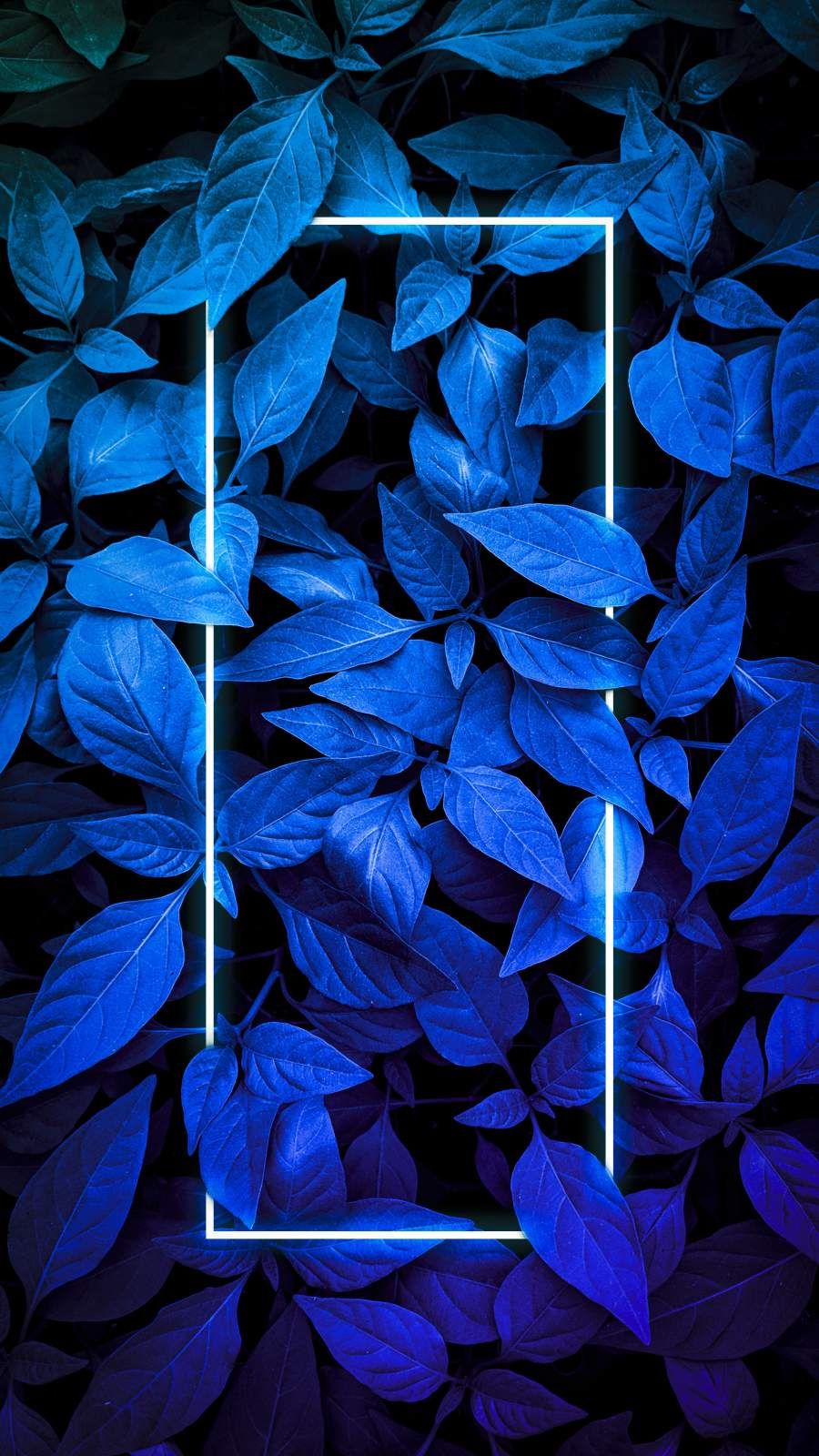 Neon Blue Iphone Wallpapers