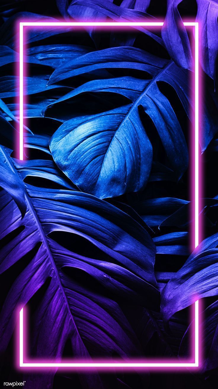 Neon Blue Purple Wallpapers