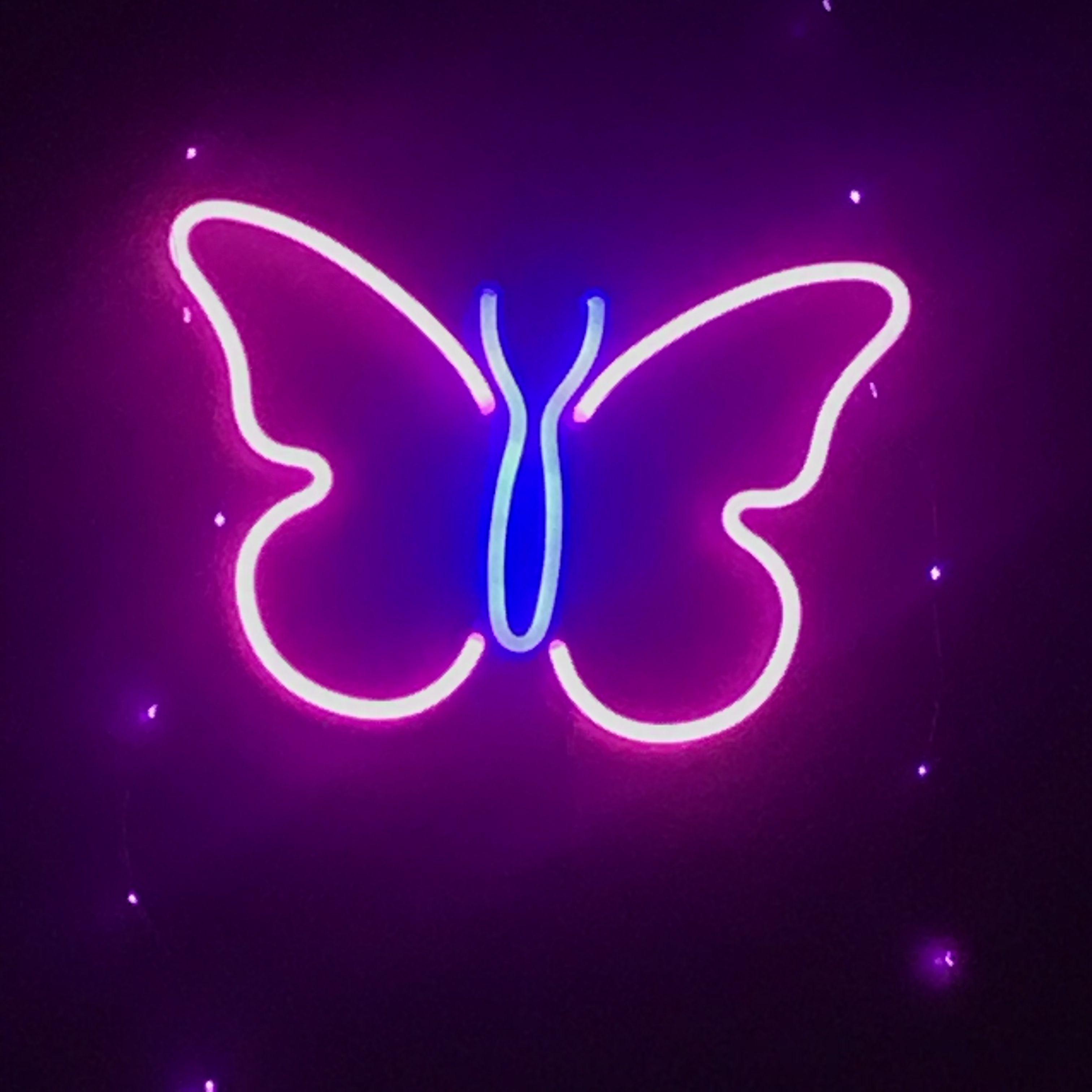 Neon Butterfly Wallpapers