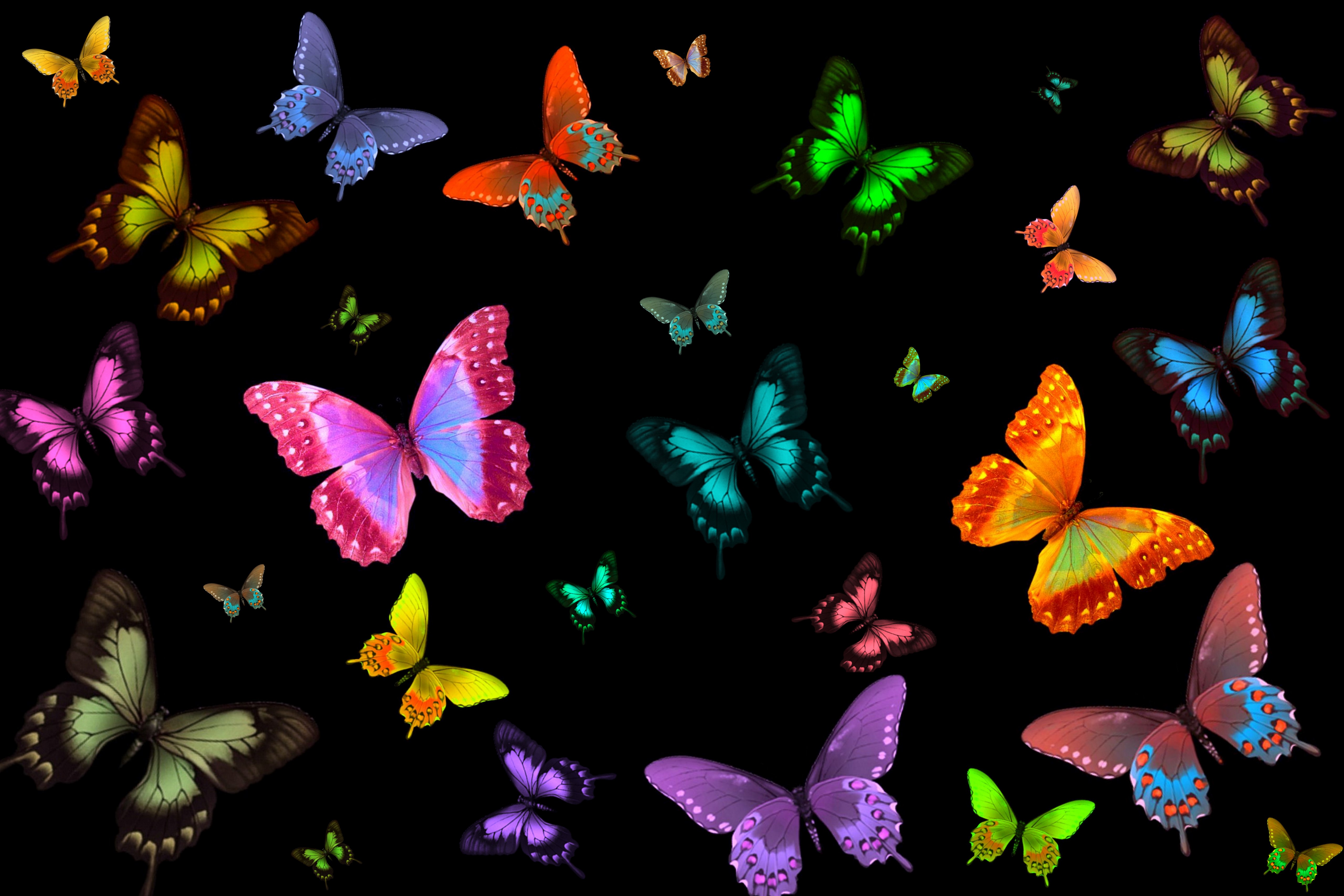 Neon Butterfly Wallpapers