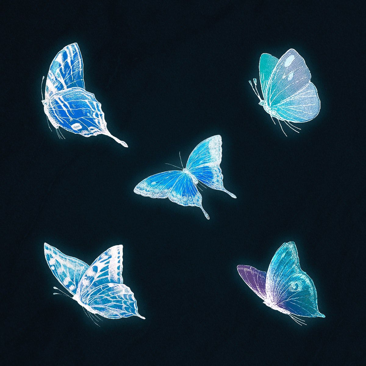 Neon Butterfly Wallpapers