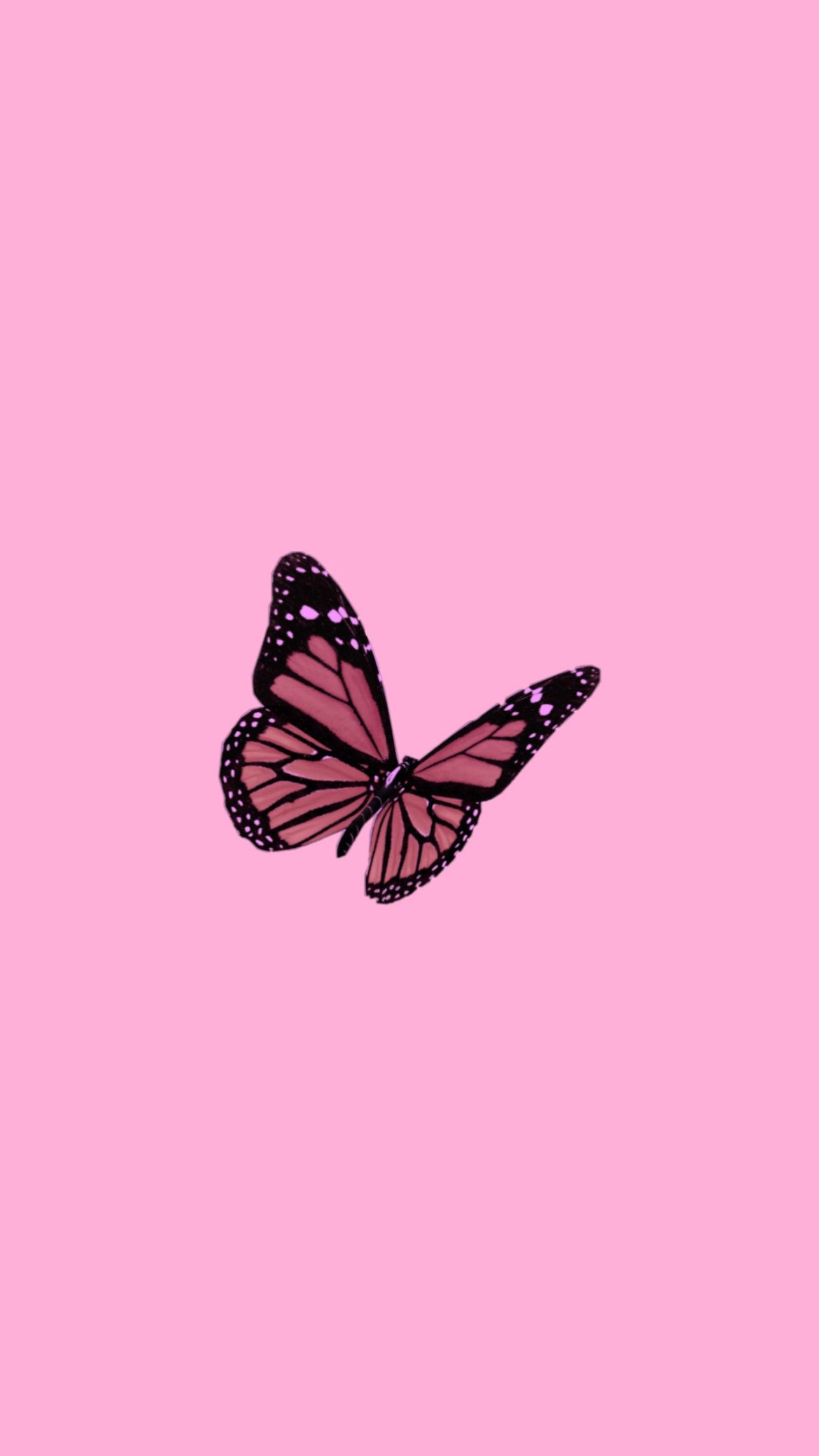Neon Butterfly Iphone Wallpapers