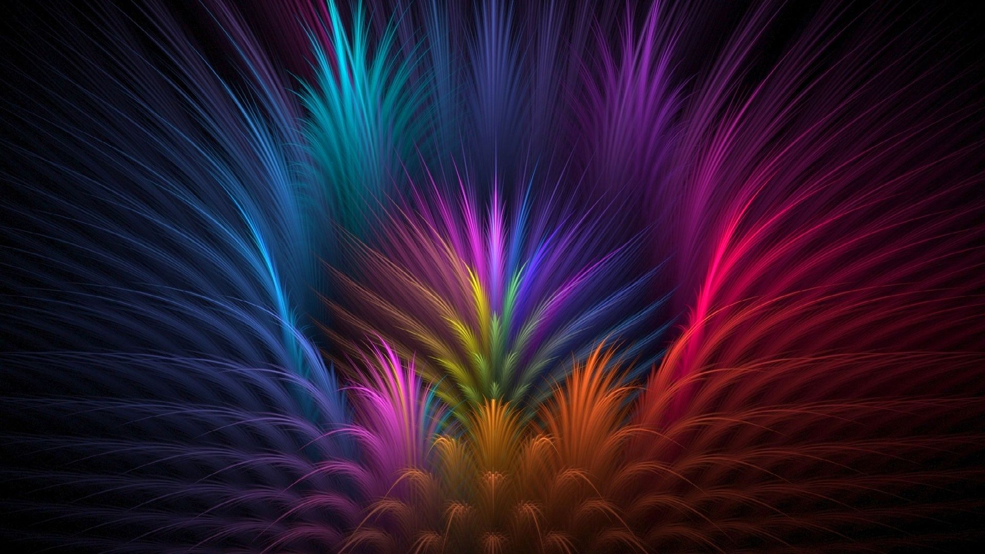 Neon Feather Wallpapers