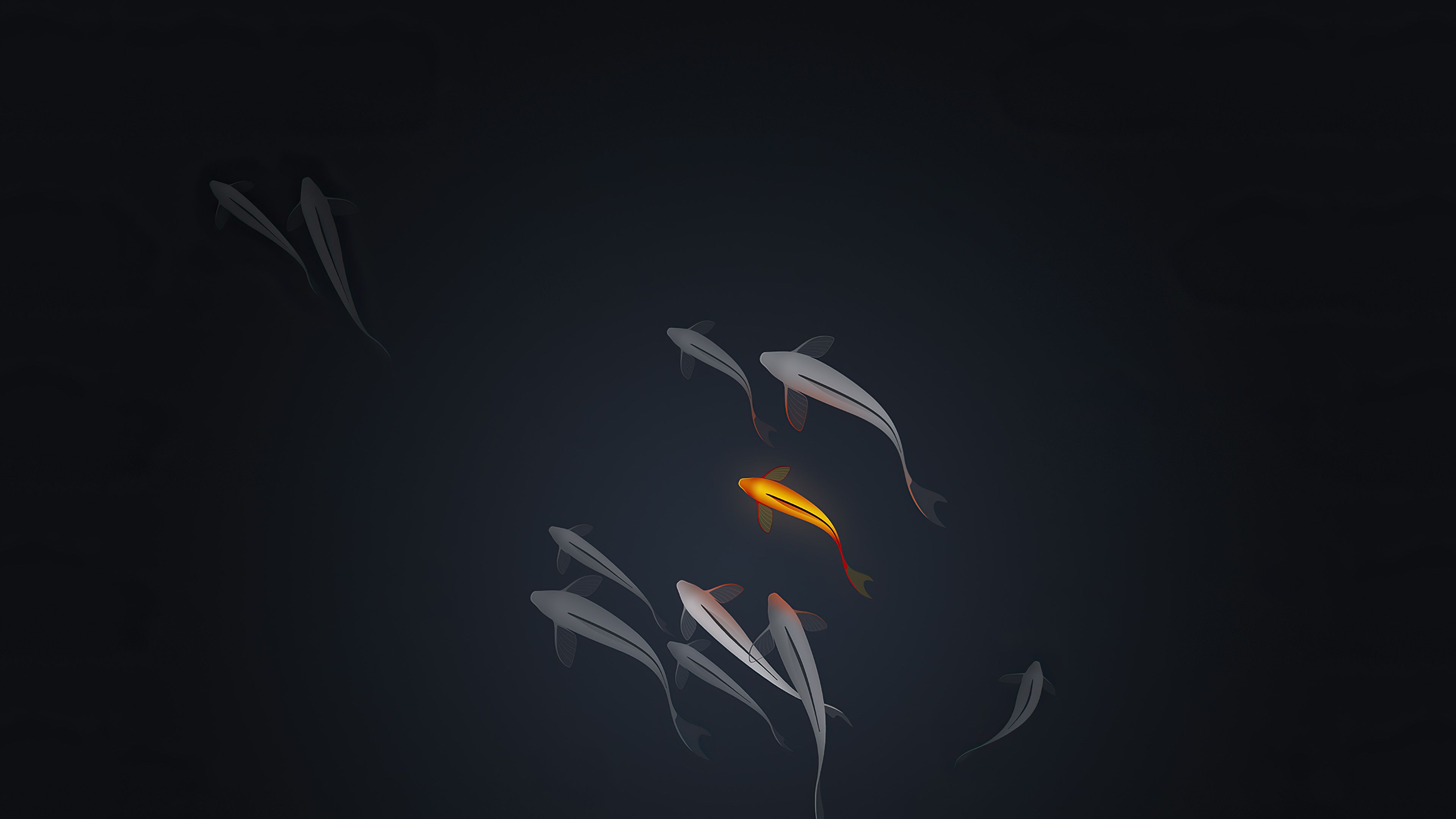 Neon Fish Wallpapers