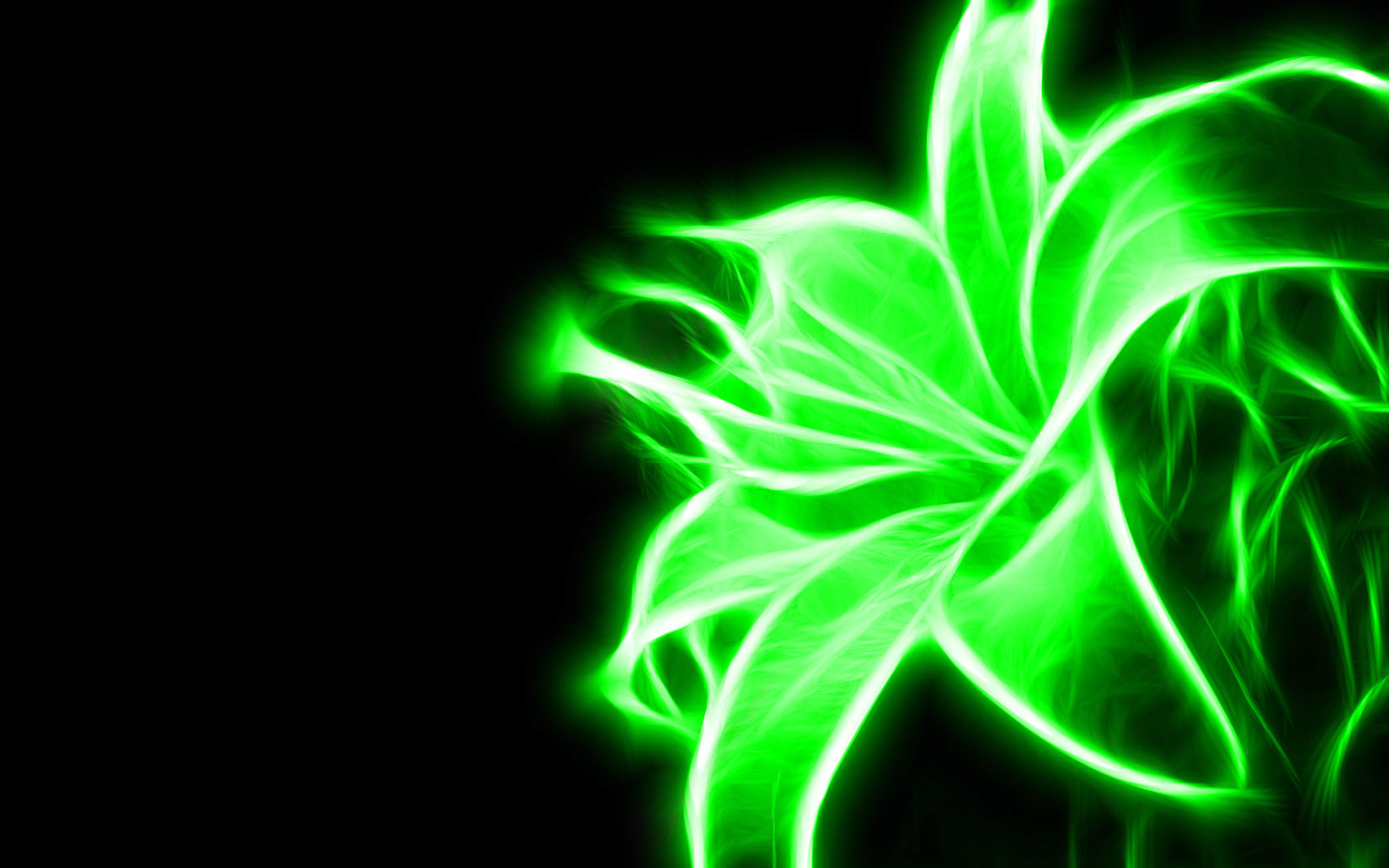 Neon Flowers Wallpapers