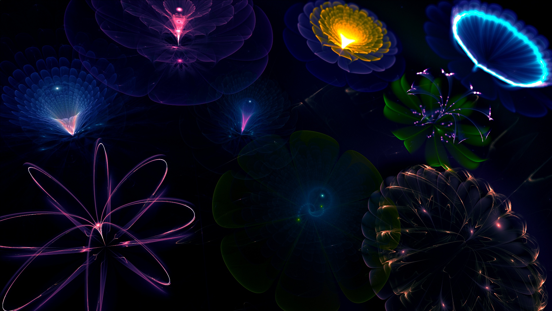 Neon Flowers Wallpapers