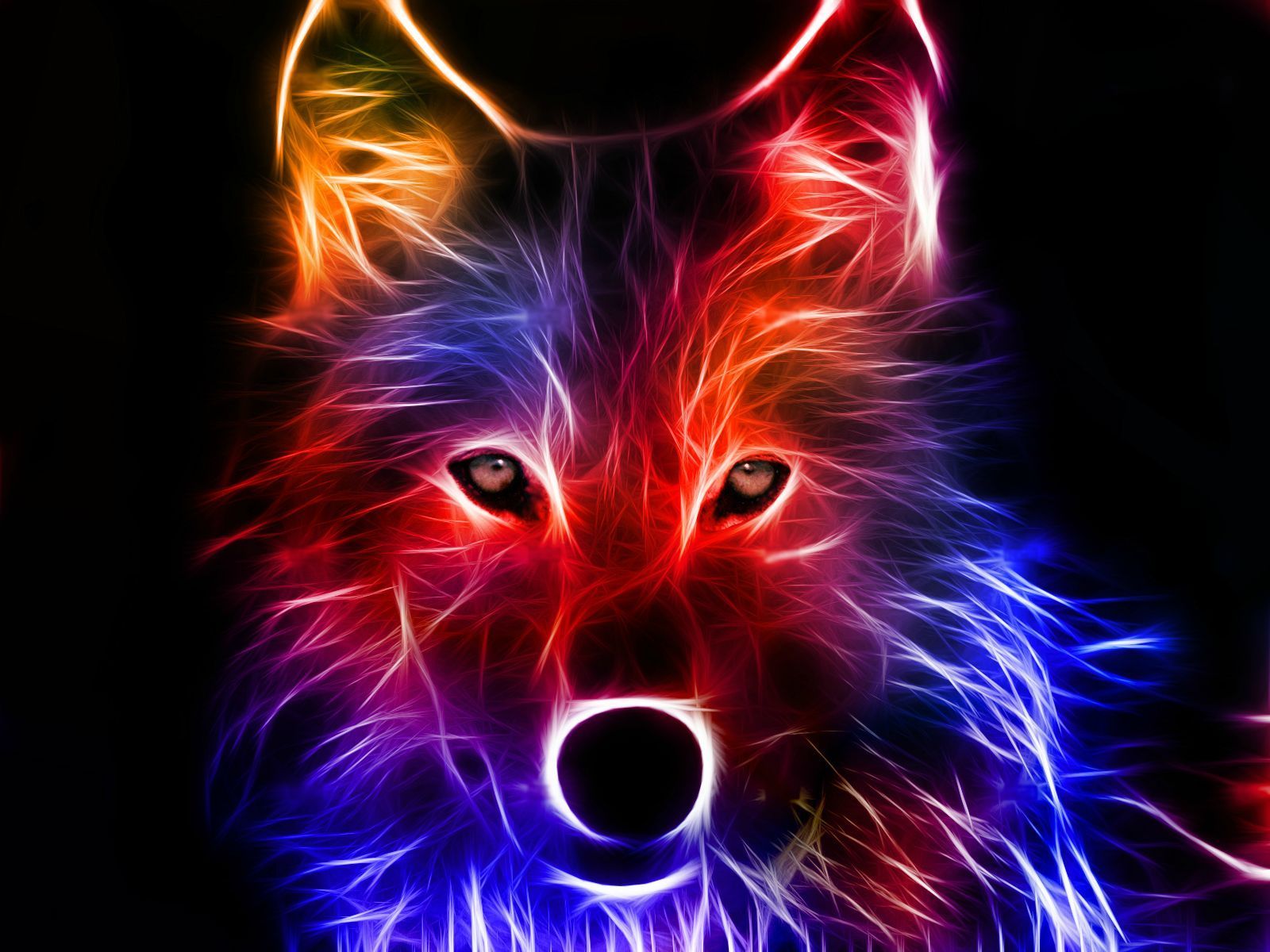 Neon Fox Wallpapers