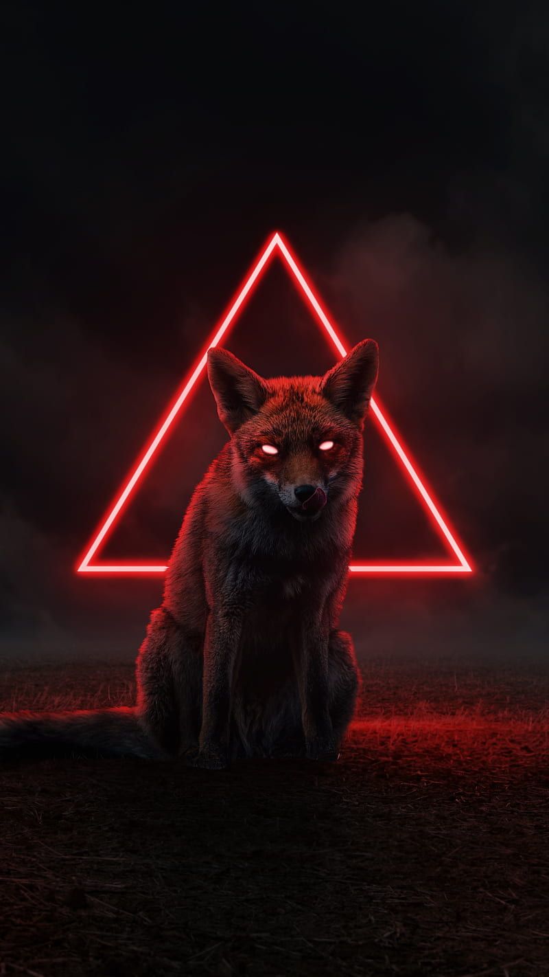 Neon Fox Wallpapers