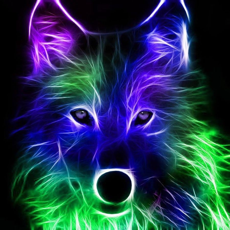 Neon Fox Wallpapers