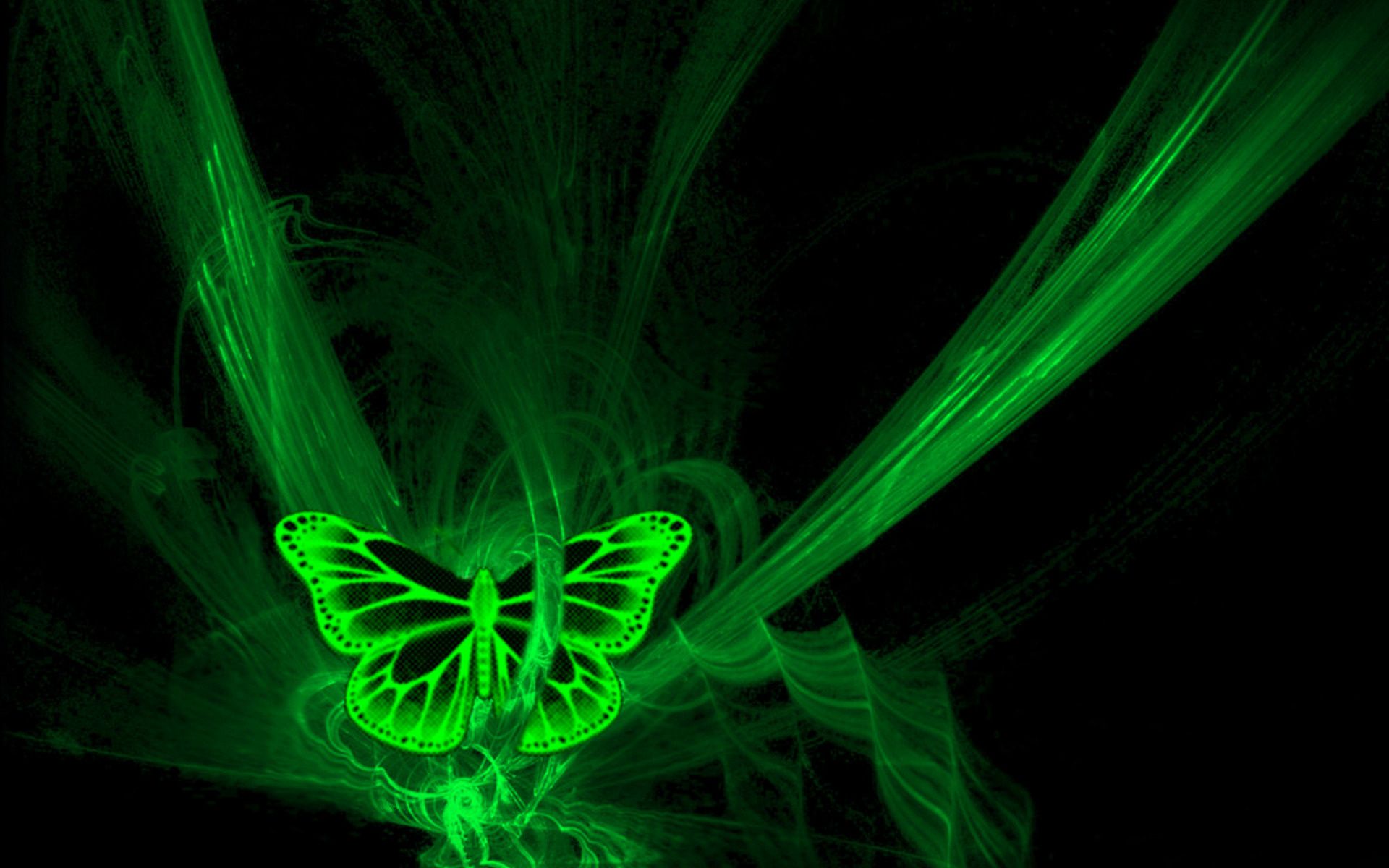 Neon Green Butterflies Wallpapers