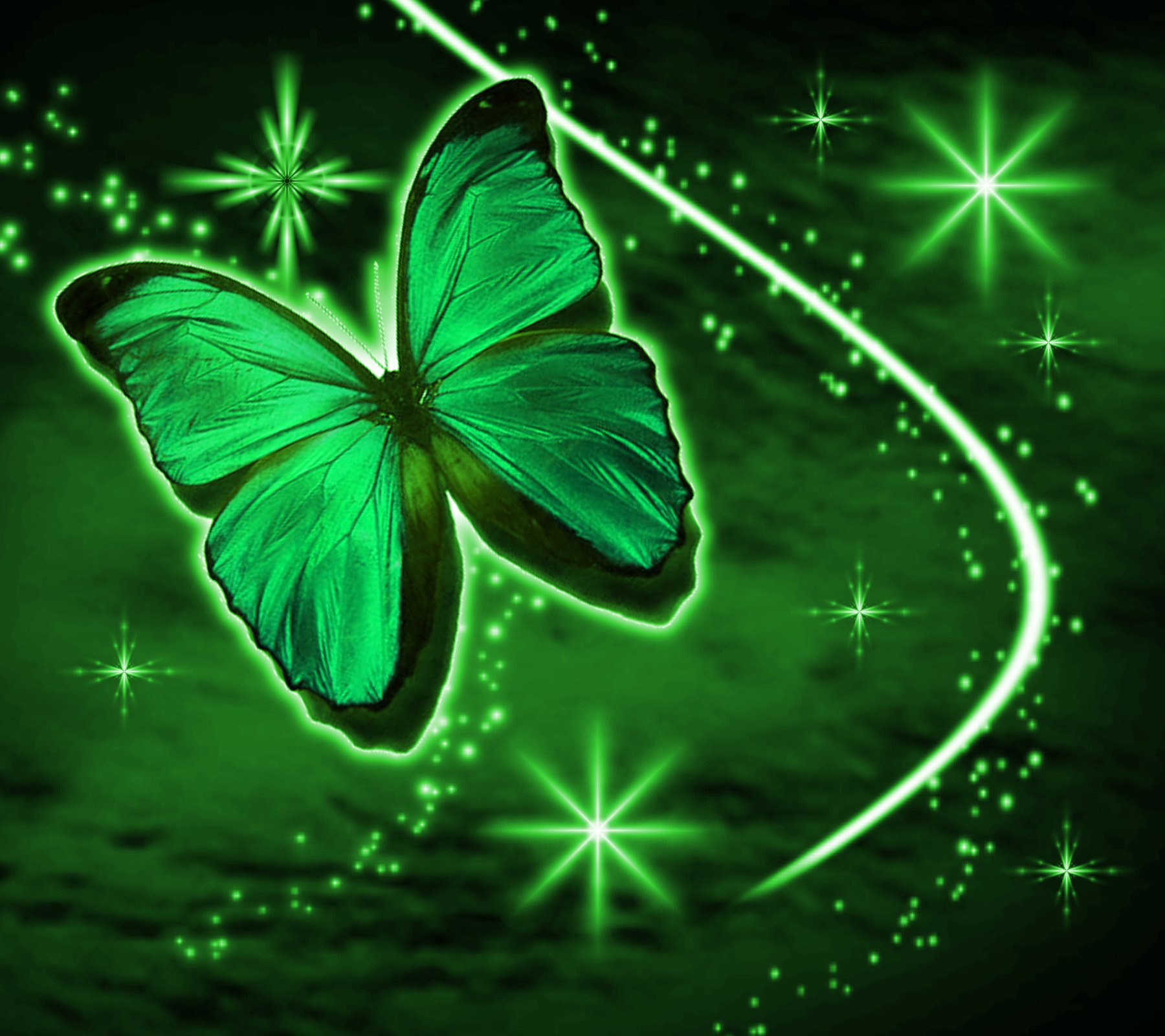 Neon Green Butterflies Wallpapers