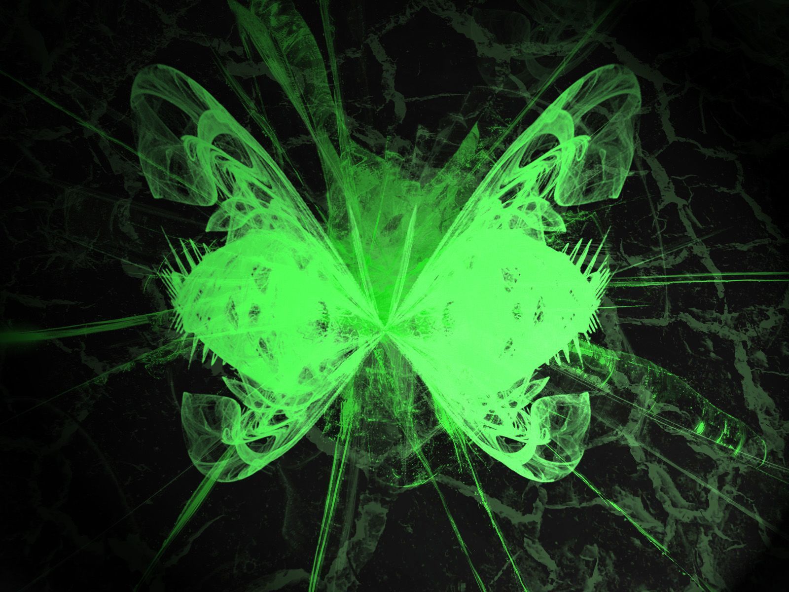 Neon Green Butterflies Wallpapers