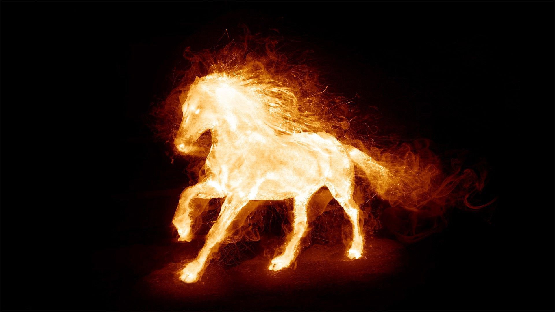 Neon Horses Wallpapers