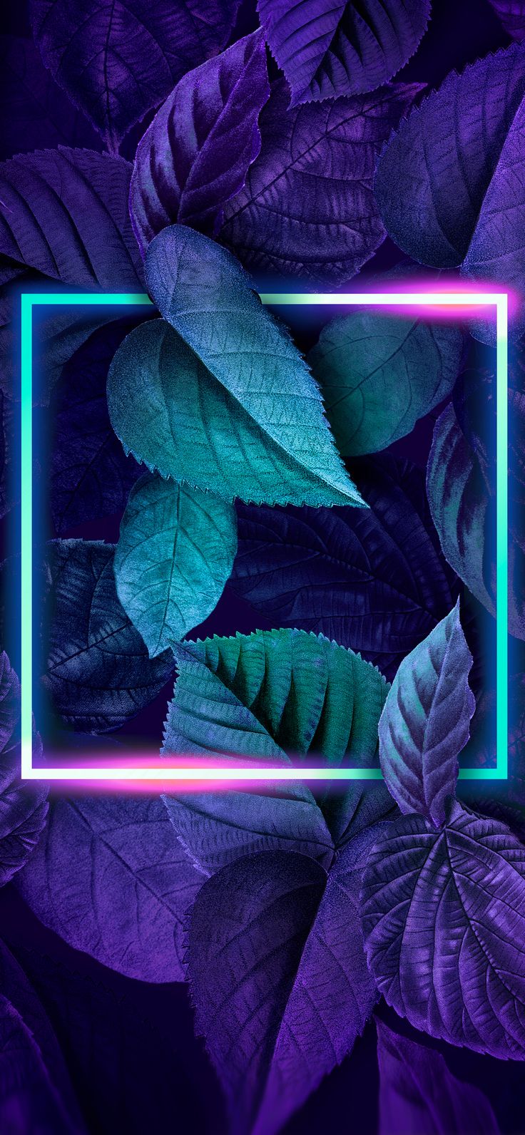 Neon Leaves Wallpapers