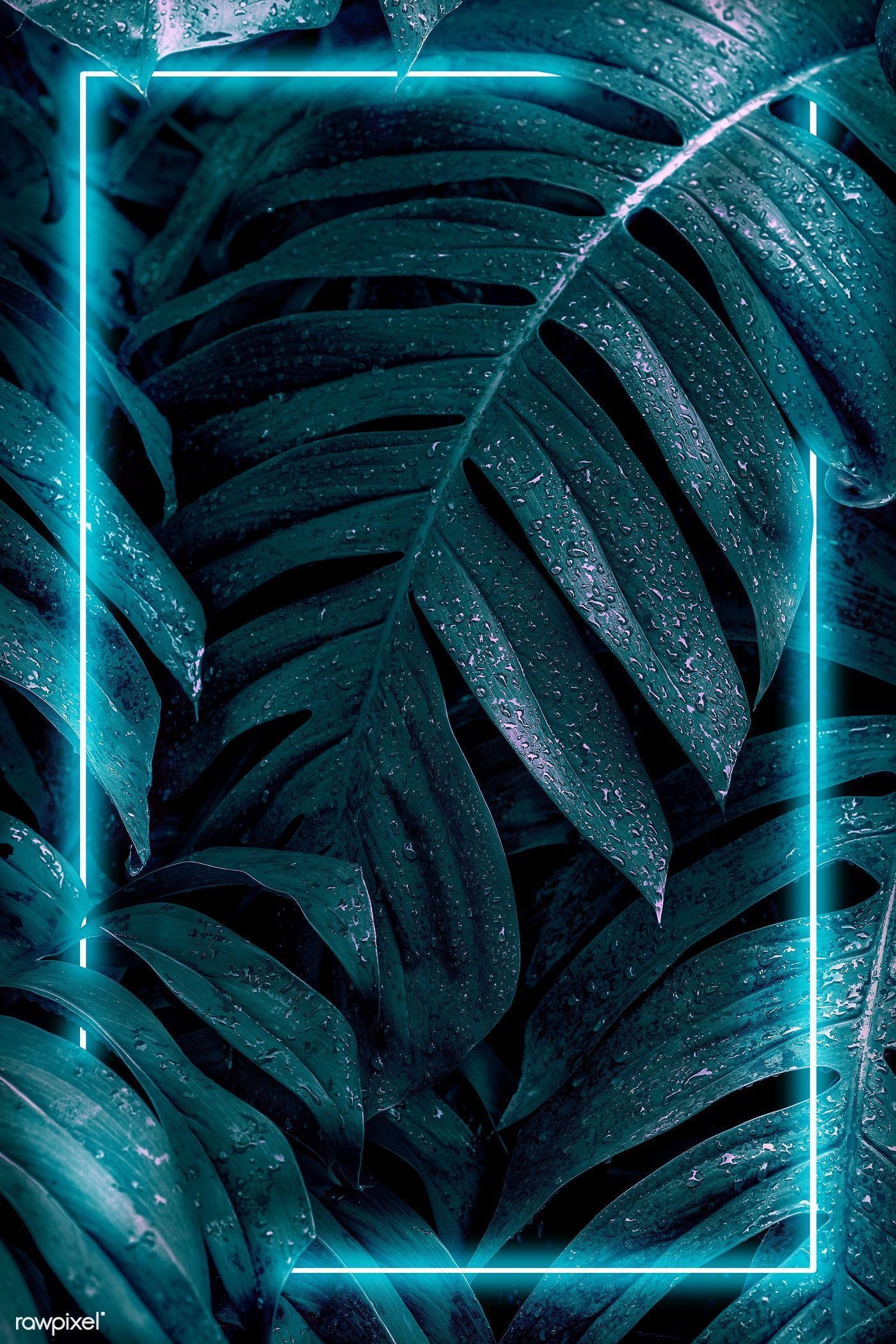 Neon Leaves Wallpapers