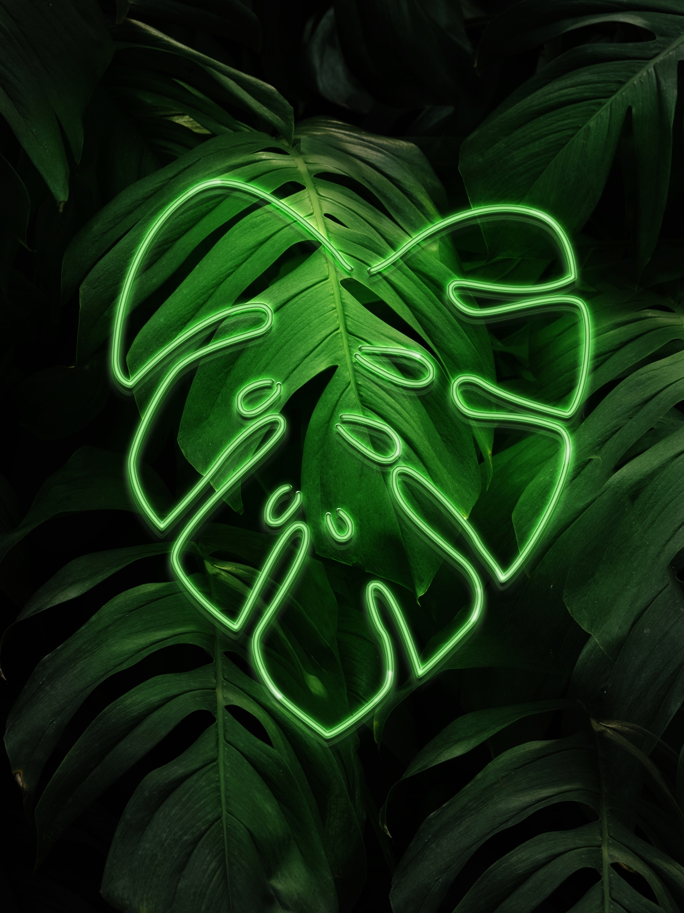 Neon Leaves Wallpapers