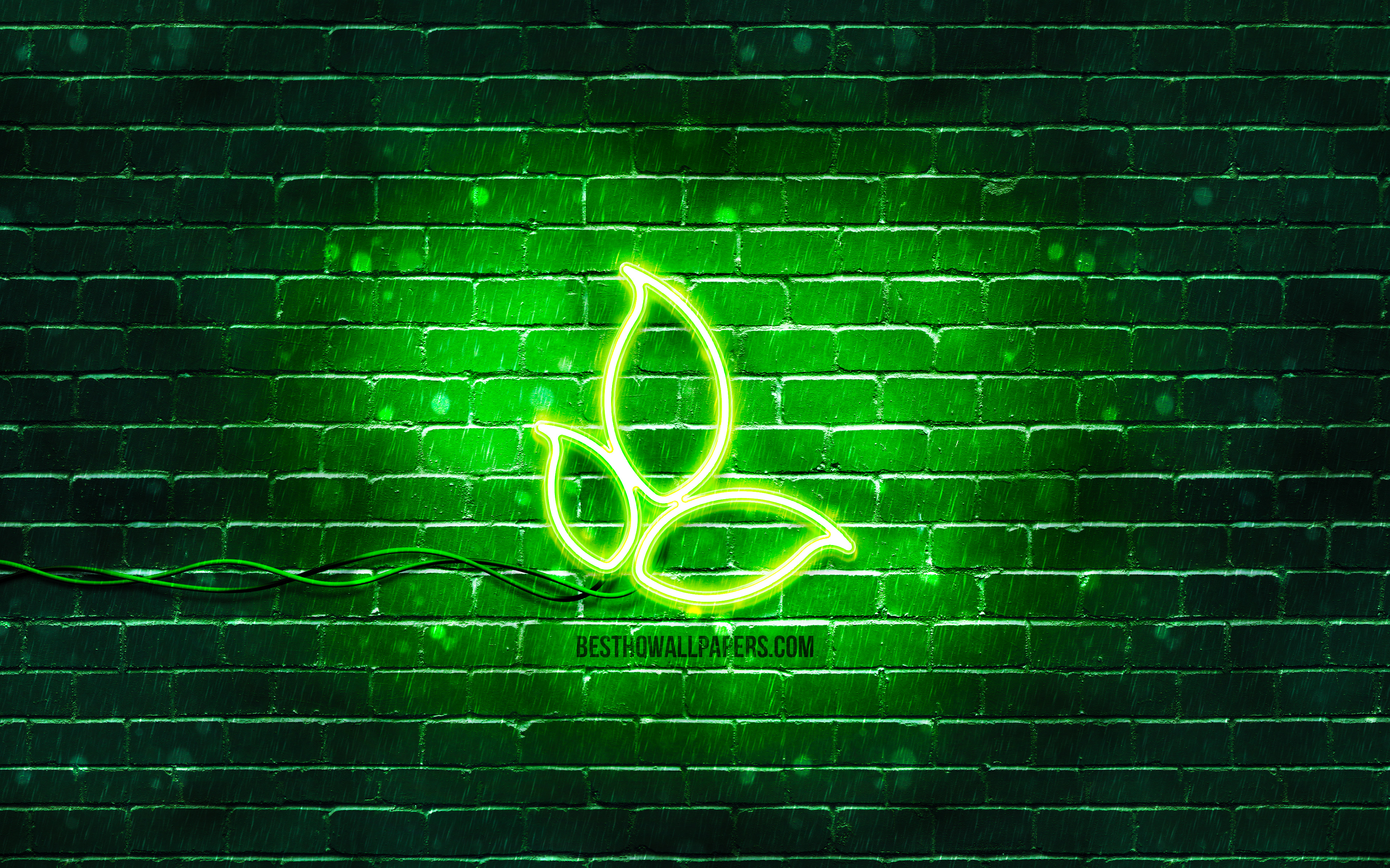 Neon Leaves Wallpapers