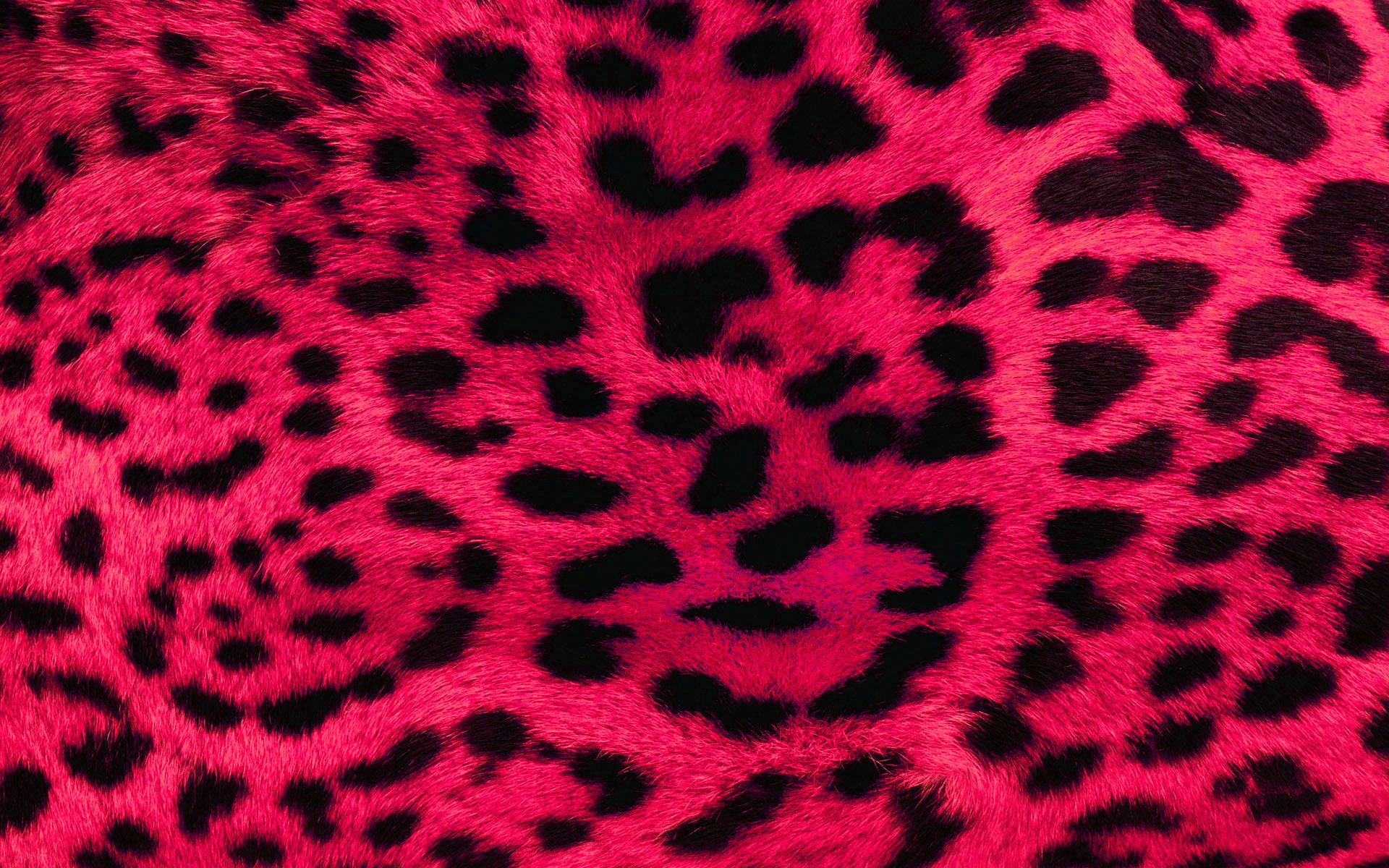 Neon Leopard Wallpapers
