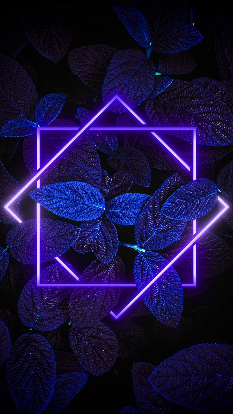 Neon Lights Iphone Wallpapers