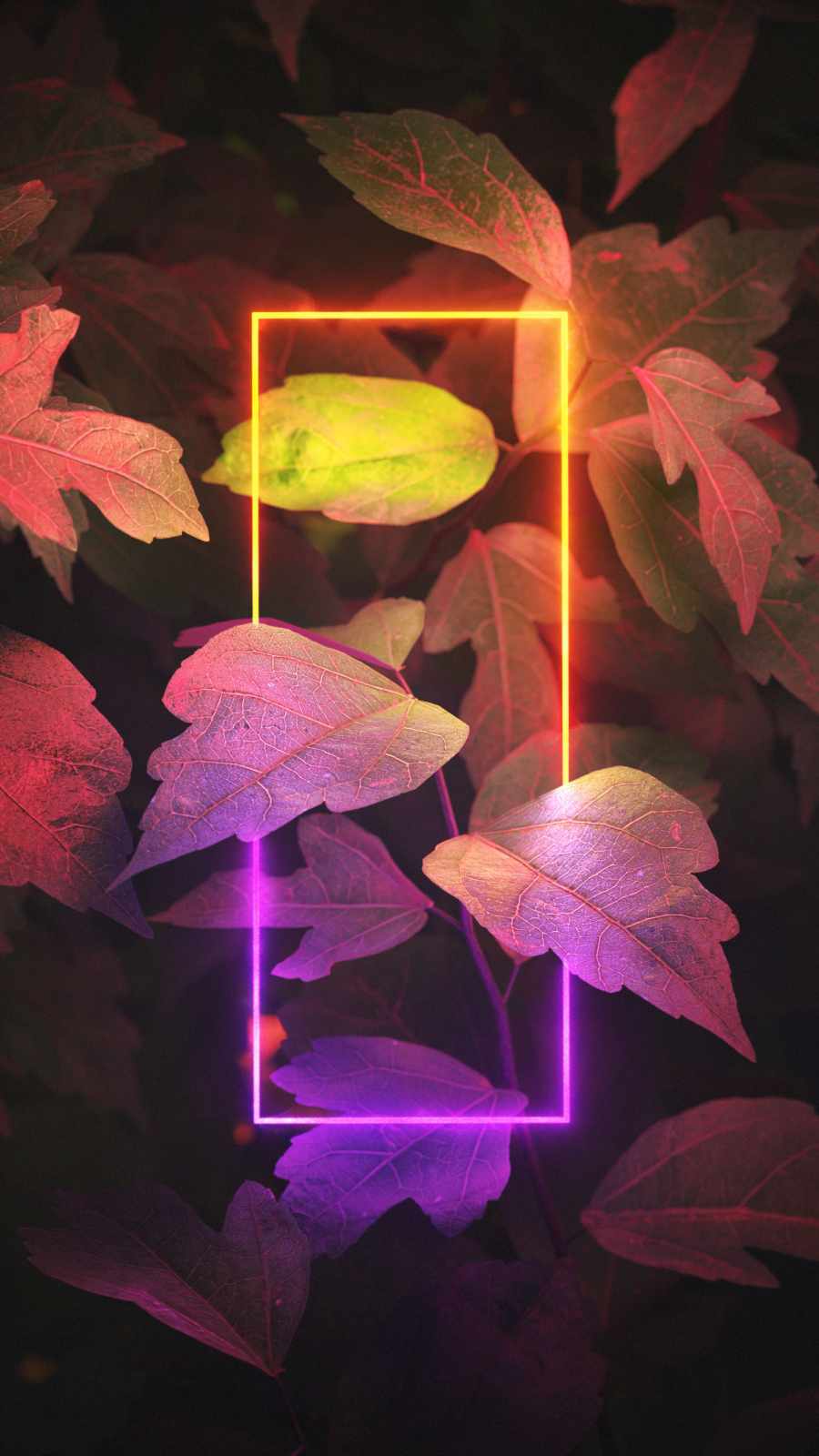 Neon Lights Iphone Wallpapers