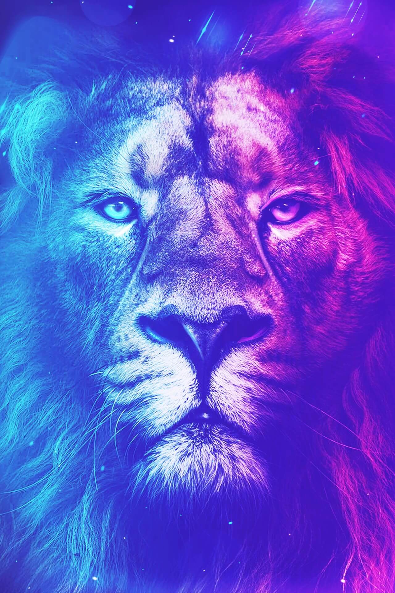 Neon Lion Wallpapers