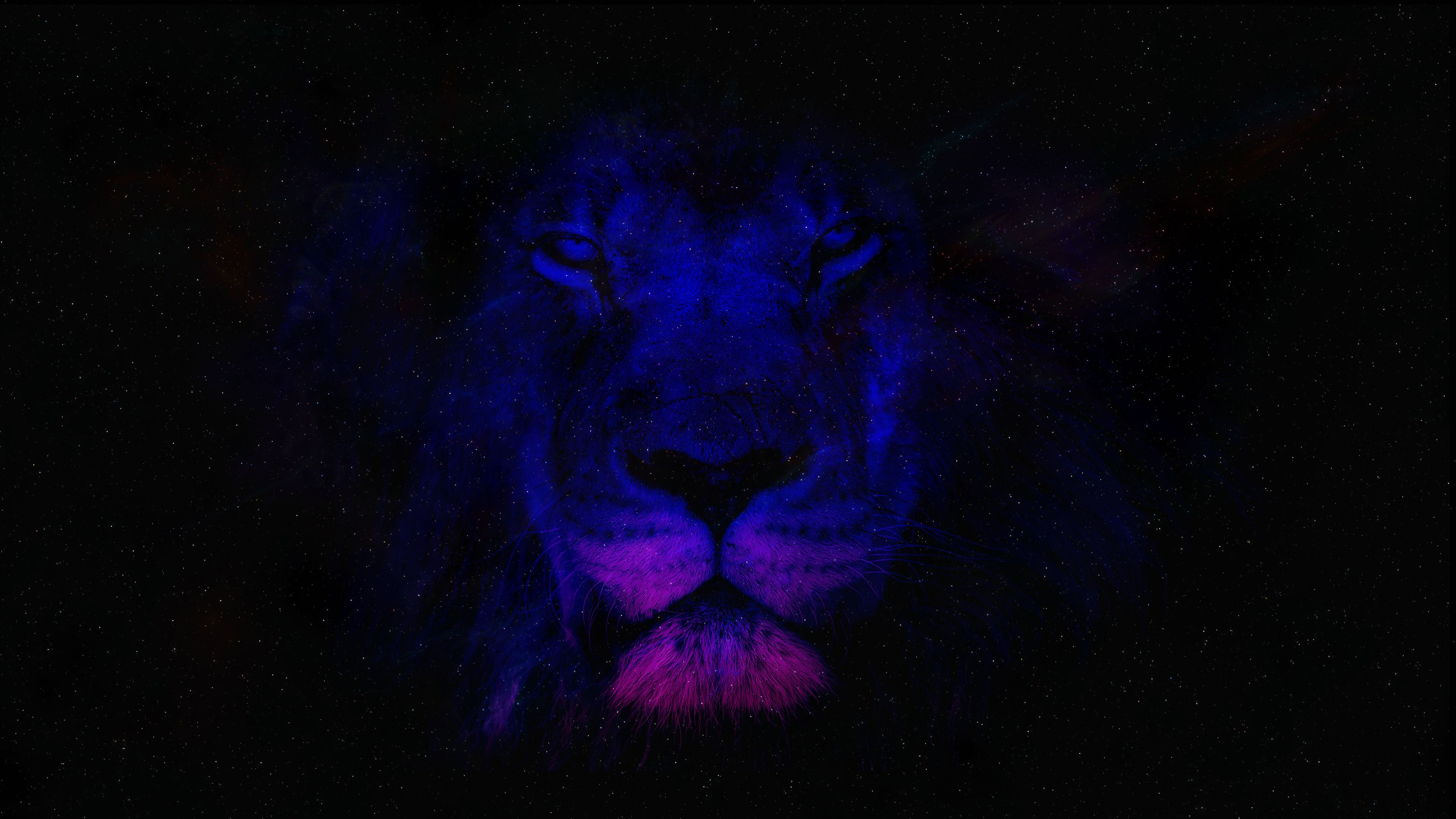 Neon Lion Wallpapers