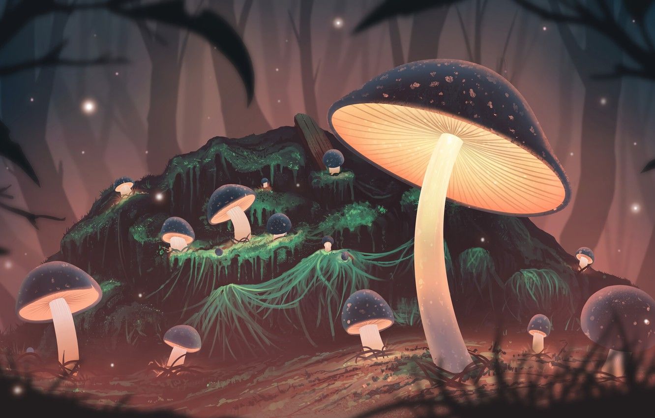 Neon Mushroom Wallpapers