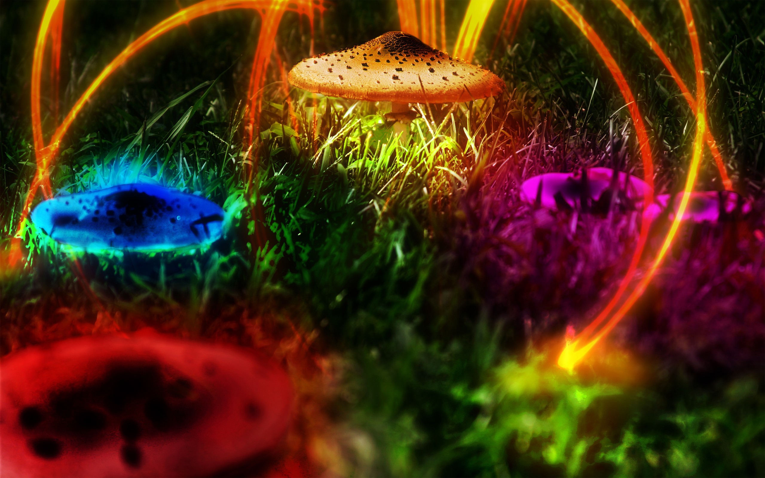 Neon Mushroom Wallpapers