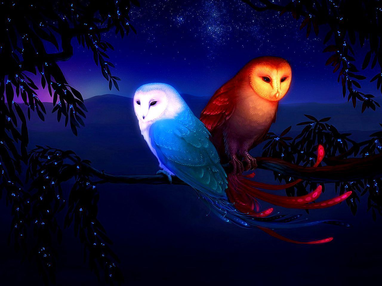 Neon Owl Wallpapers