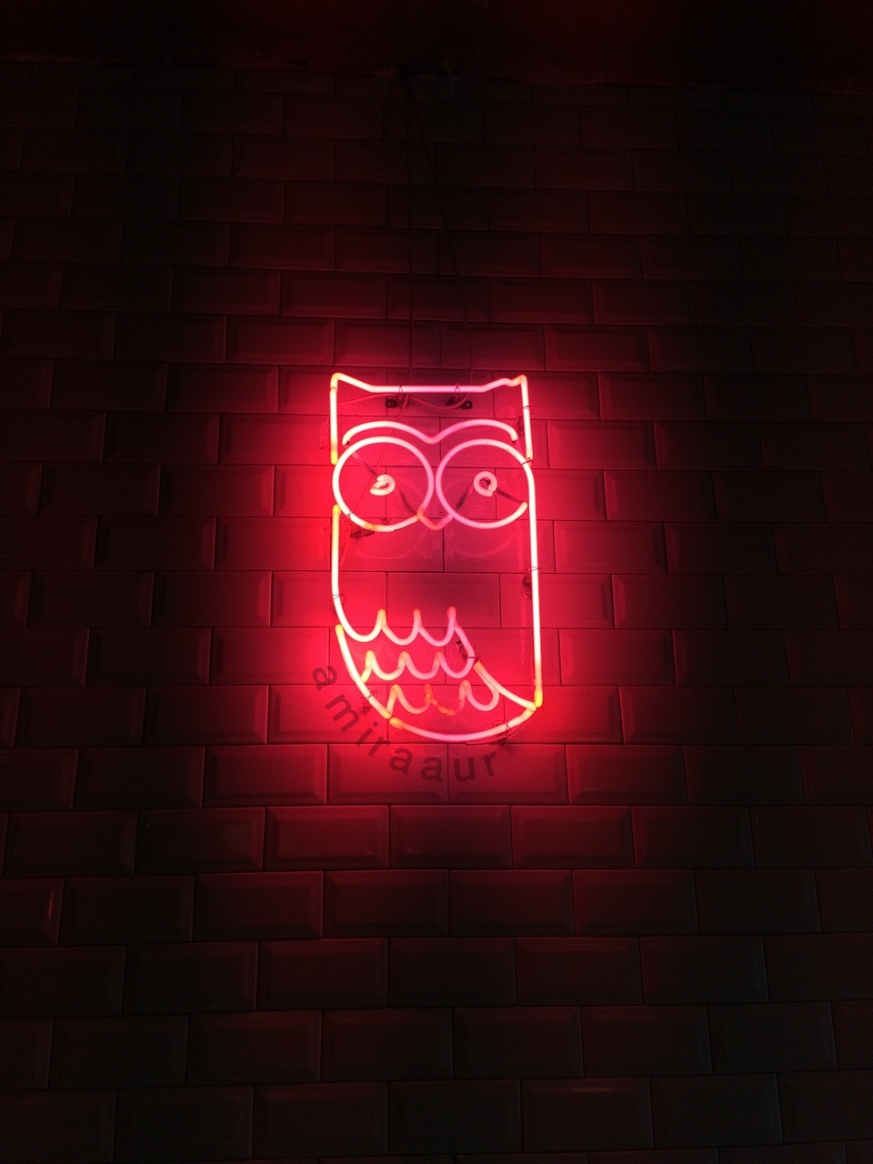 Neon Owl Wallpapers