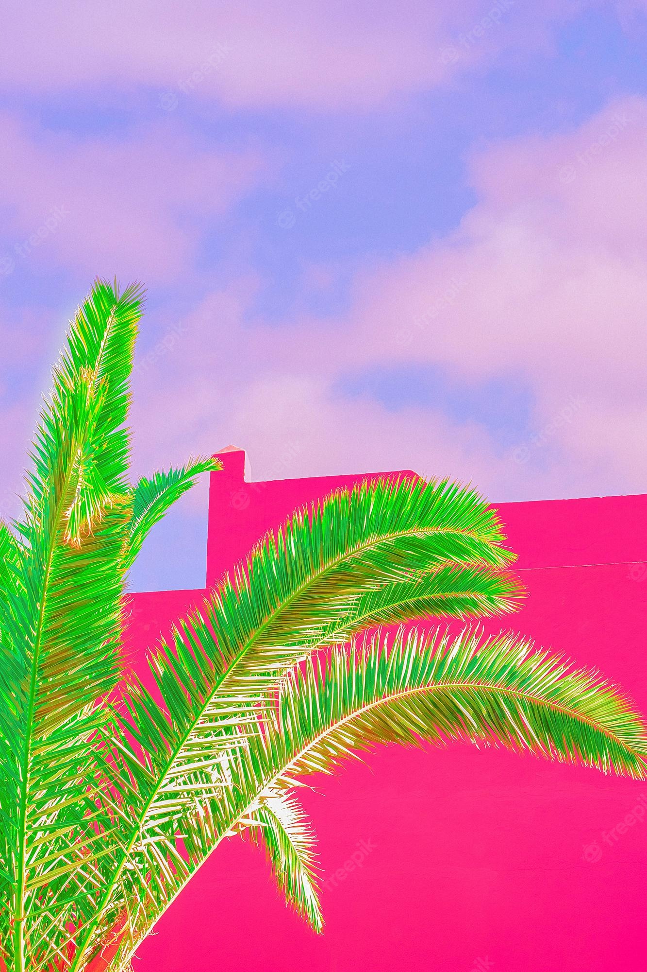 Neon Palm Tree Wallpapers