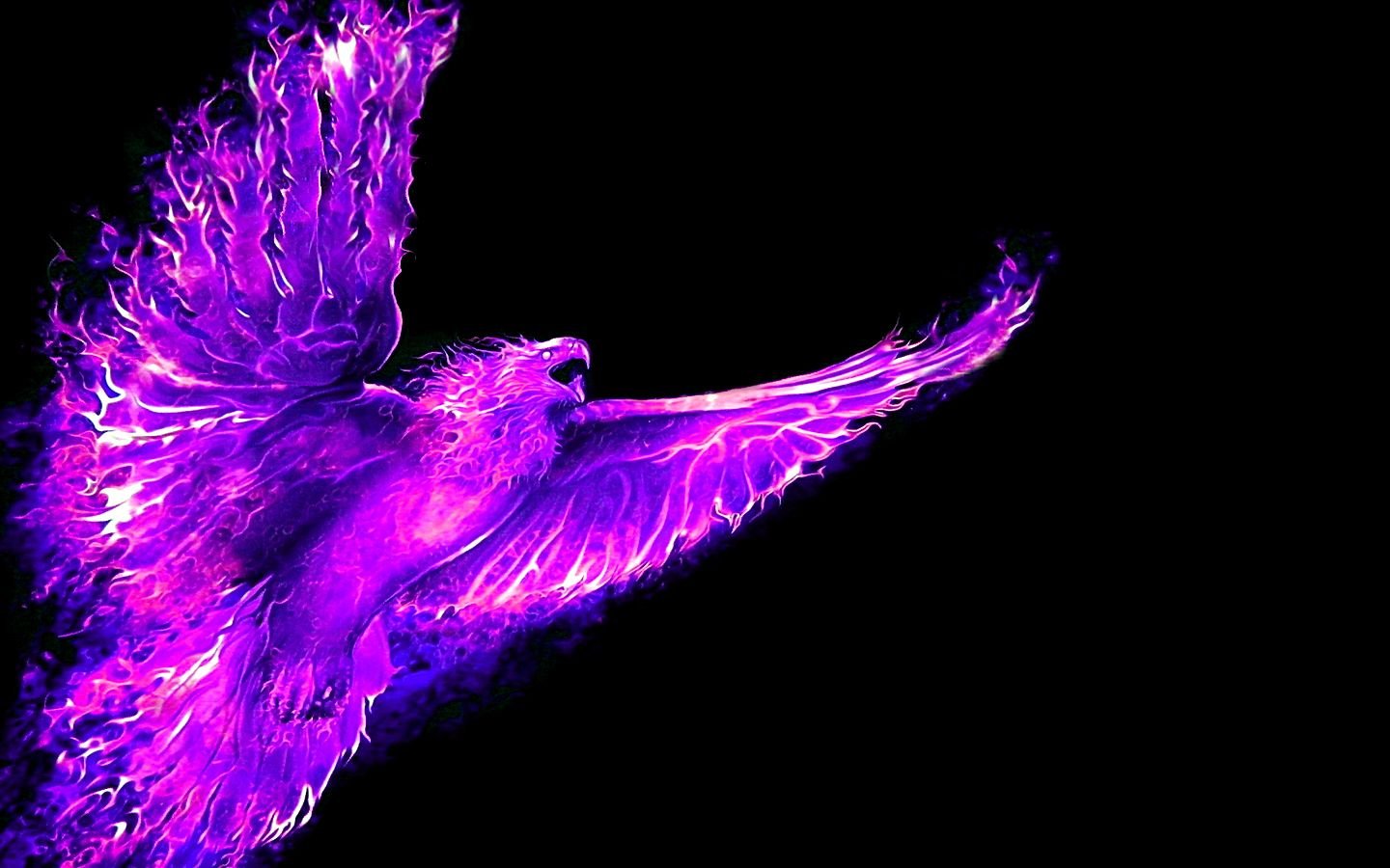 Neon Phoenix Wallpapers