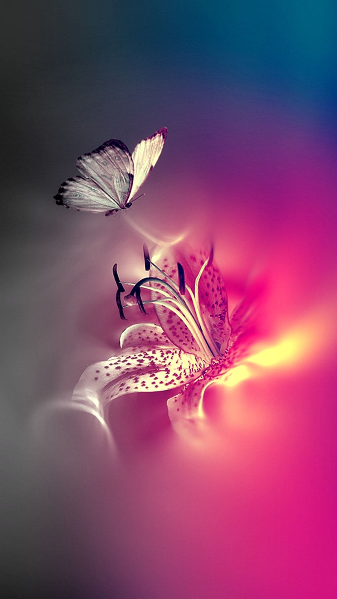 Neon Pink Butterfly Wallpapers