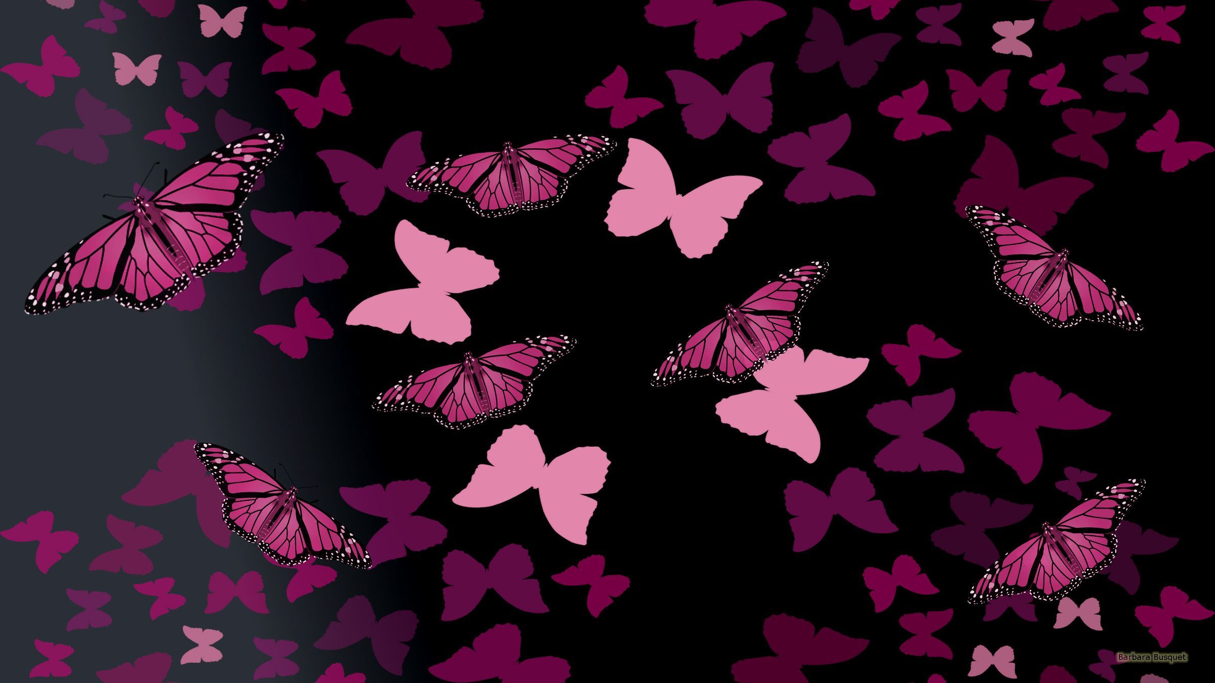 Neon Pink Butterfly Wallpapers